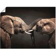 artland artprint twee olifanten in vele afmetingen  productsoorten -artprint op linnen, poster, muursticker - wandfolie ook geschikt voor de badkamer (1 stuk) zwart