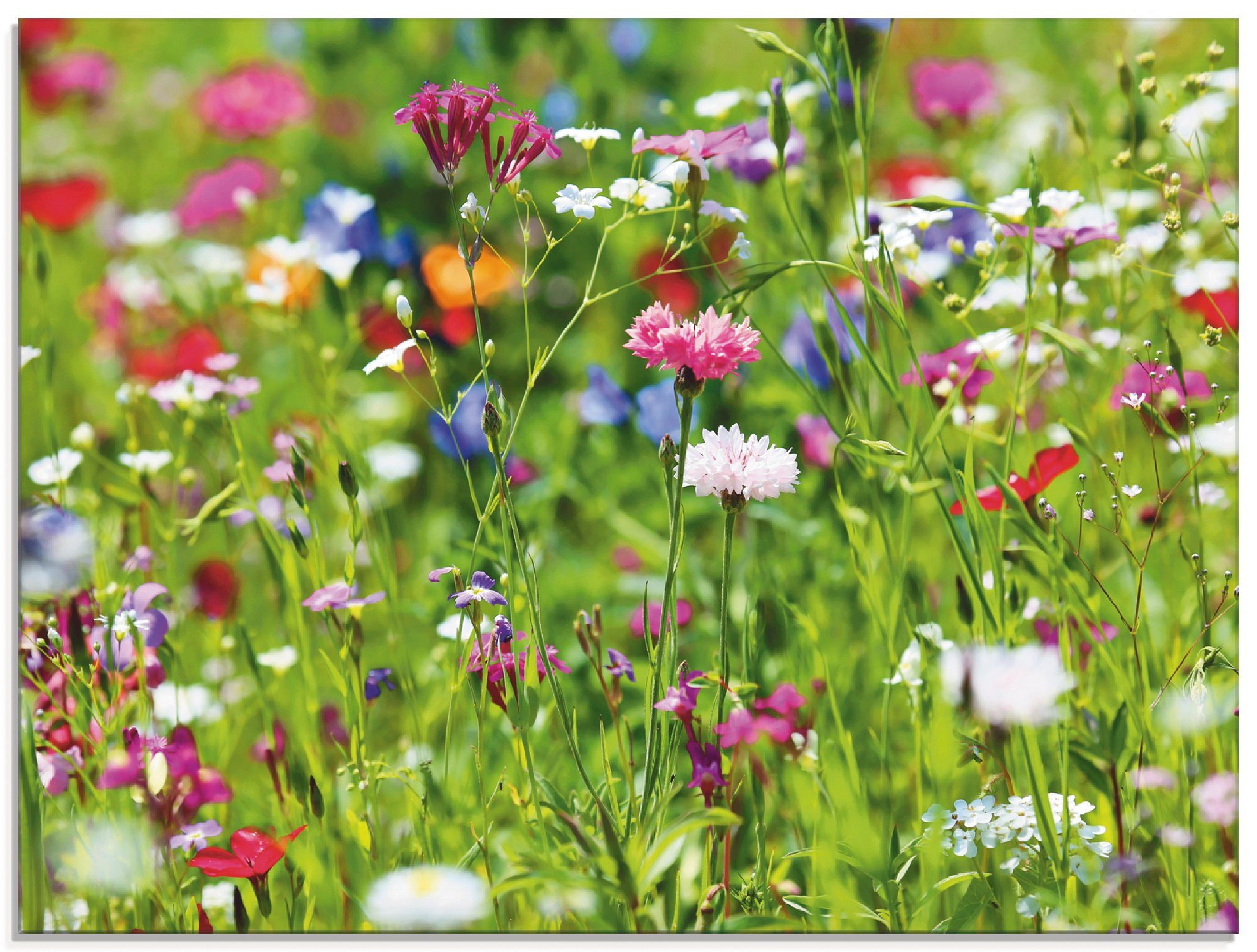 Artland Print op glas Bloemenweide I (1 stuk)