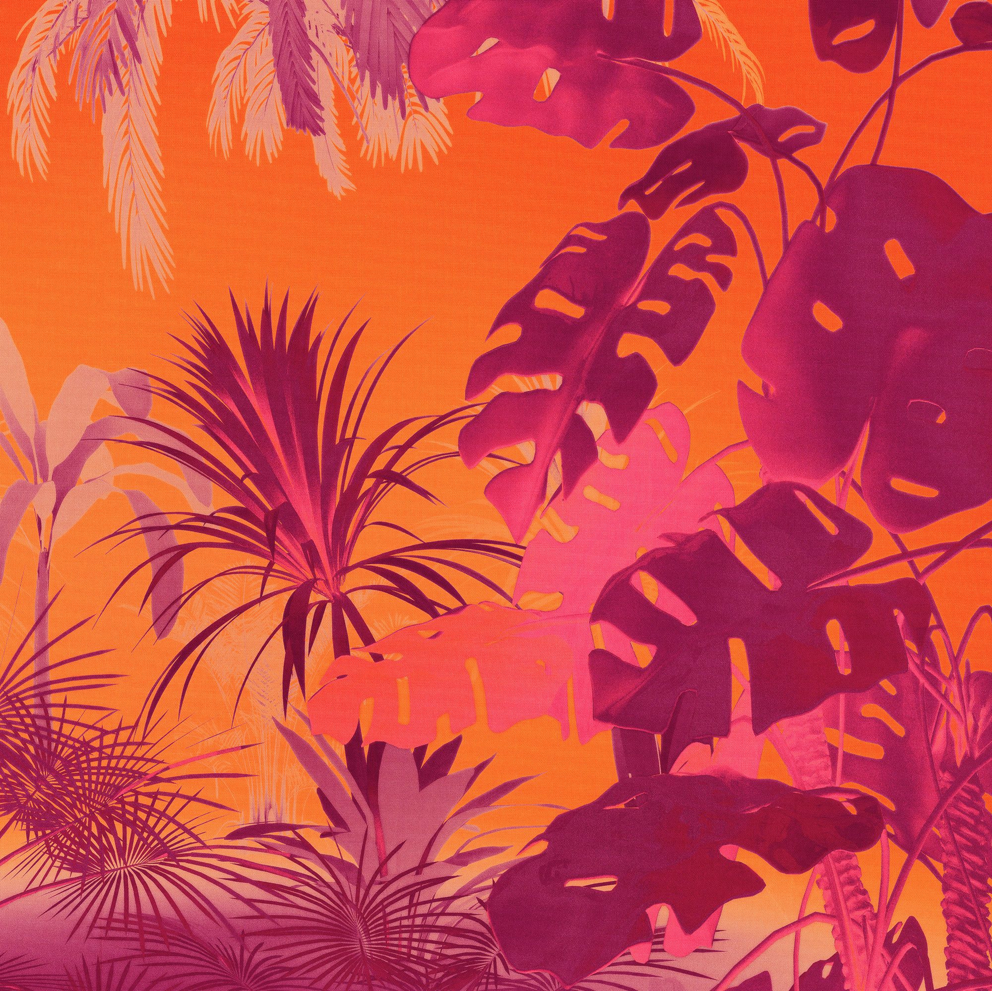 Komar Fotobehang Komar vlies fotobehang - Funky Jungle - maat 250 x 250 cm (set)