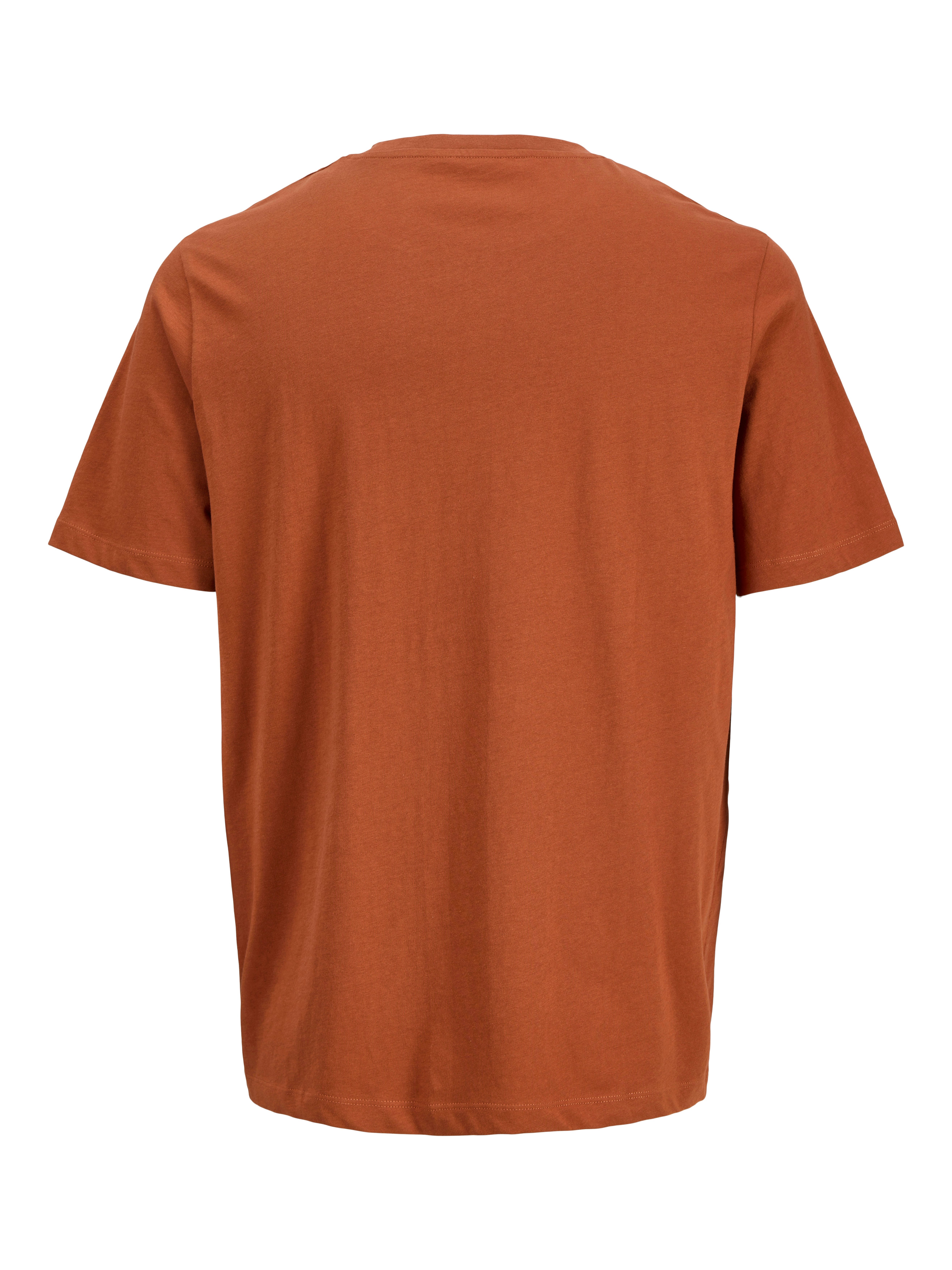 Jack & Jones Shirt met print JORCANGGU TEE SS CREW NECK FST