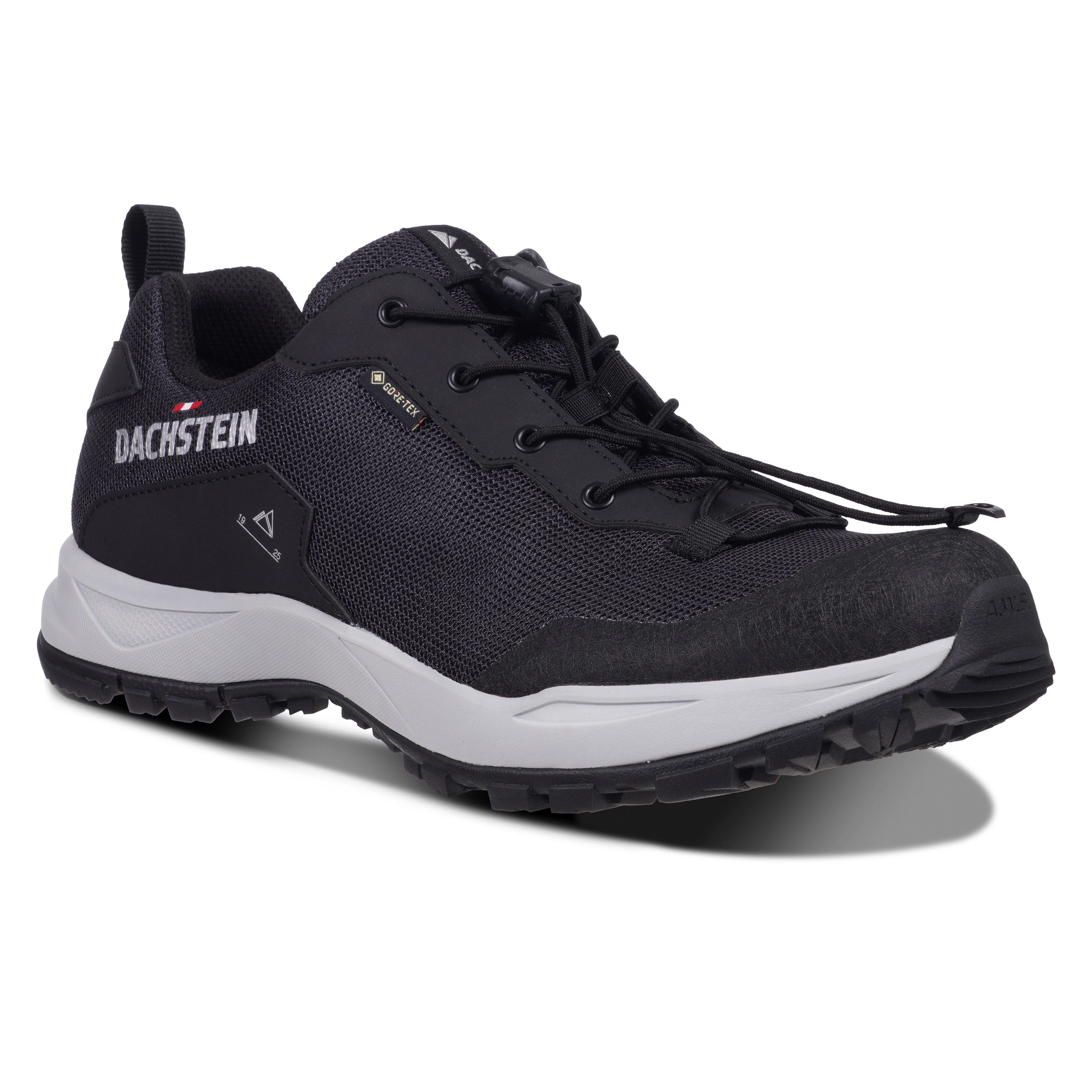 Dachstein Wandelschoenen DELTA ASCENT GTX