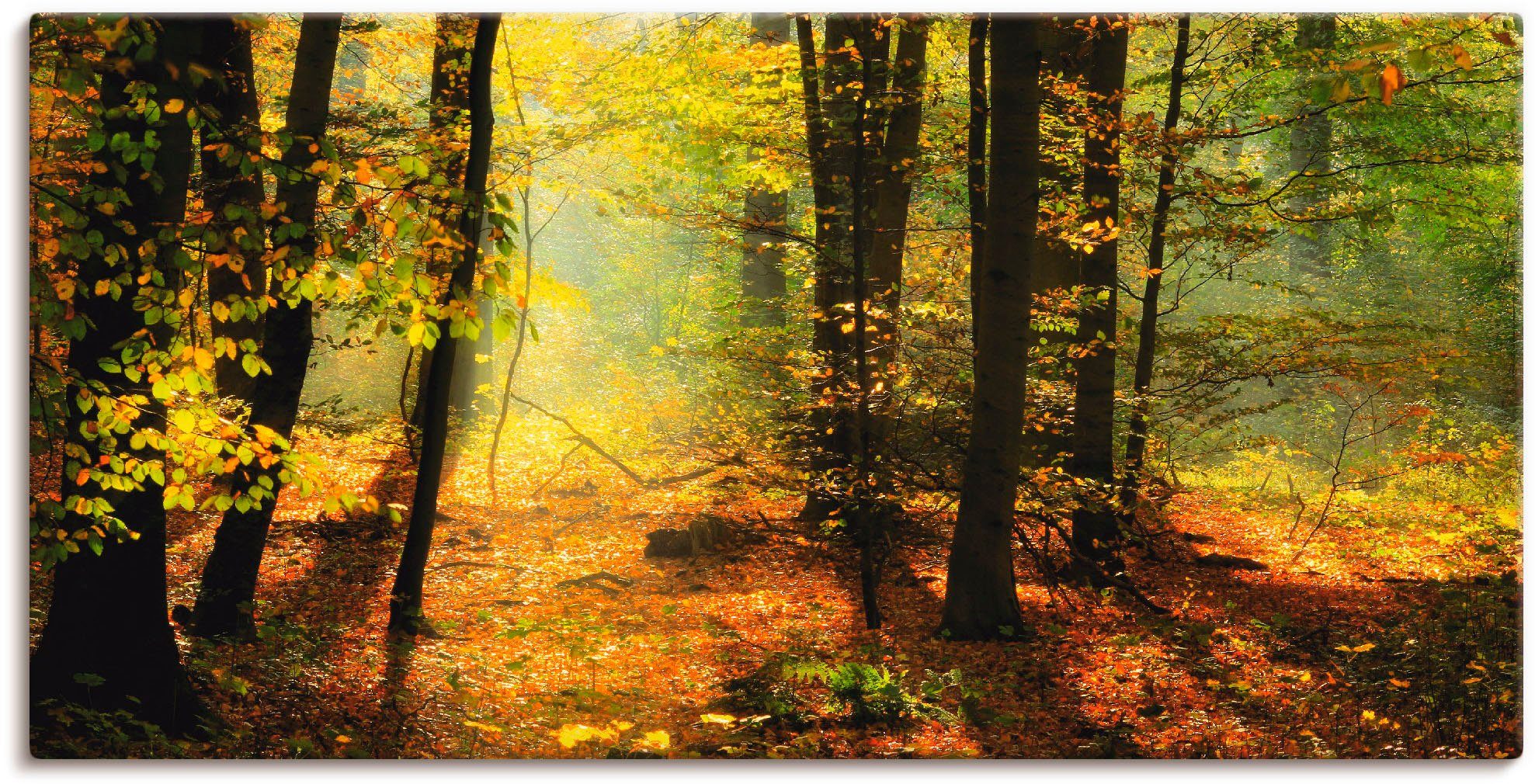 Artland artprint Herbstlicht im Wald