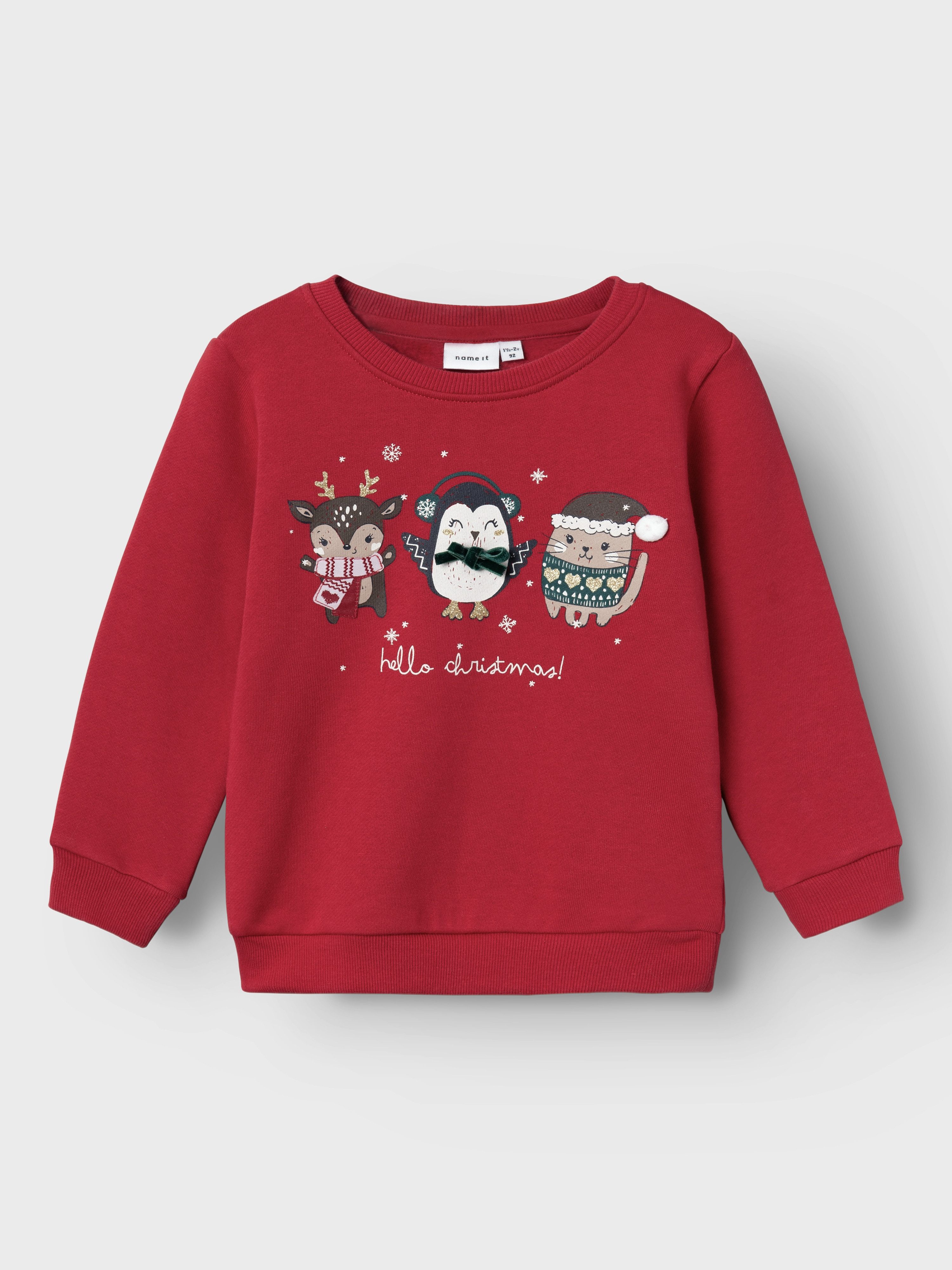 Name It Sweatshirt NMFRTINSEL NREG SWEAT BRU BOX