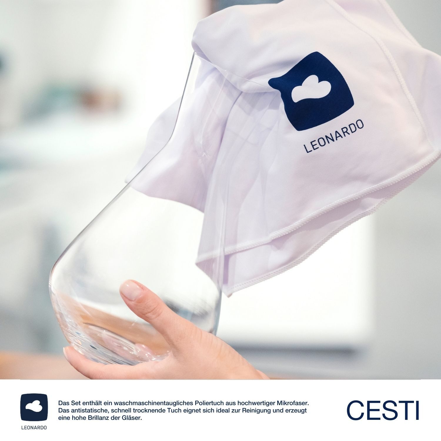 LEONARDO Rodewijnglas Wijnset CESTI + poetsdoek 2 wijnglazen en 1 karaf met poetsdoek (set, 4-delig)