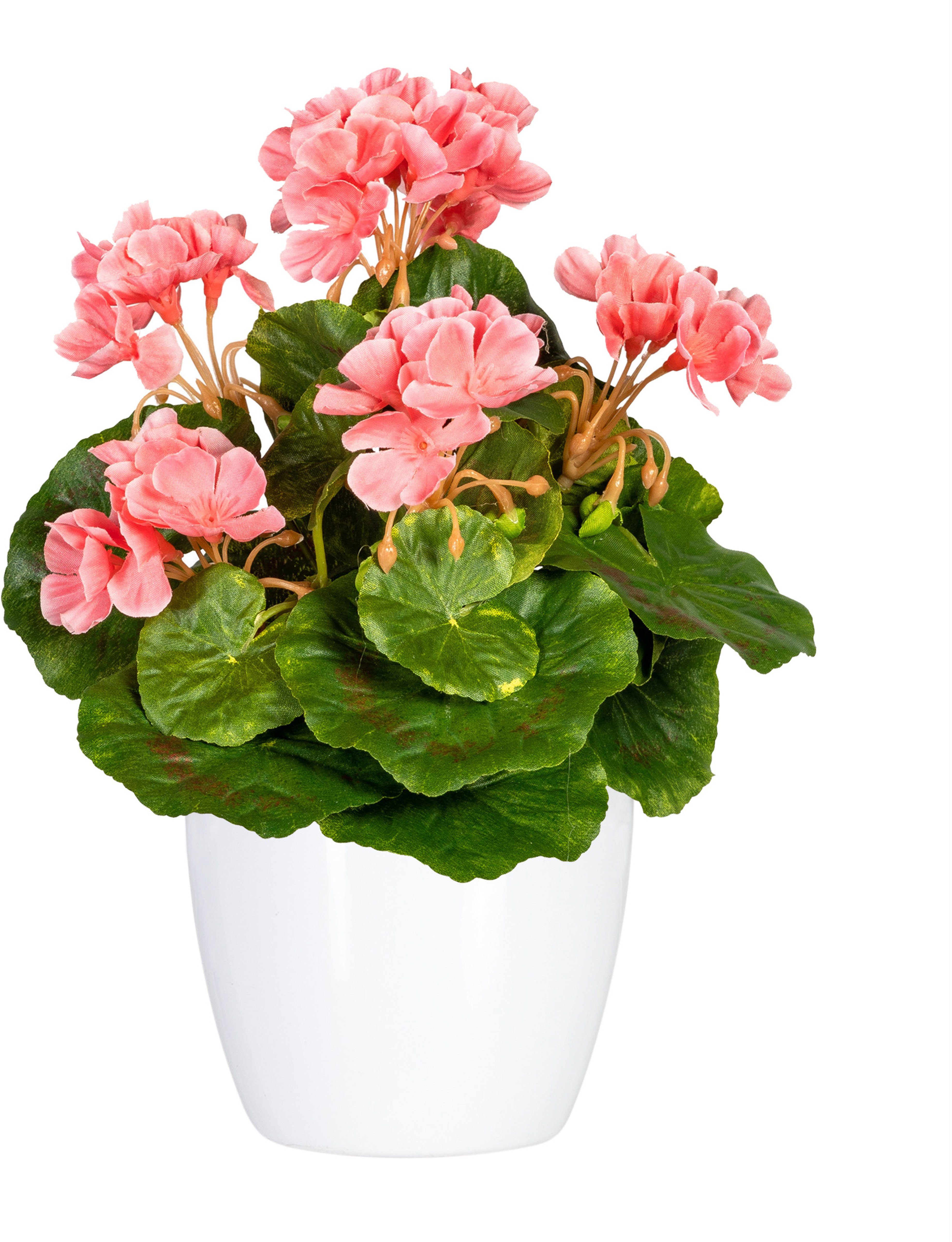 Home affaire Kunstplant Havel in een pot(2 stuks)