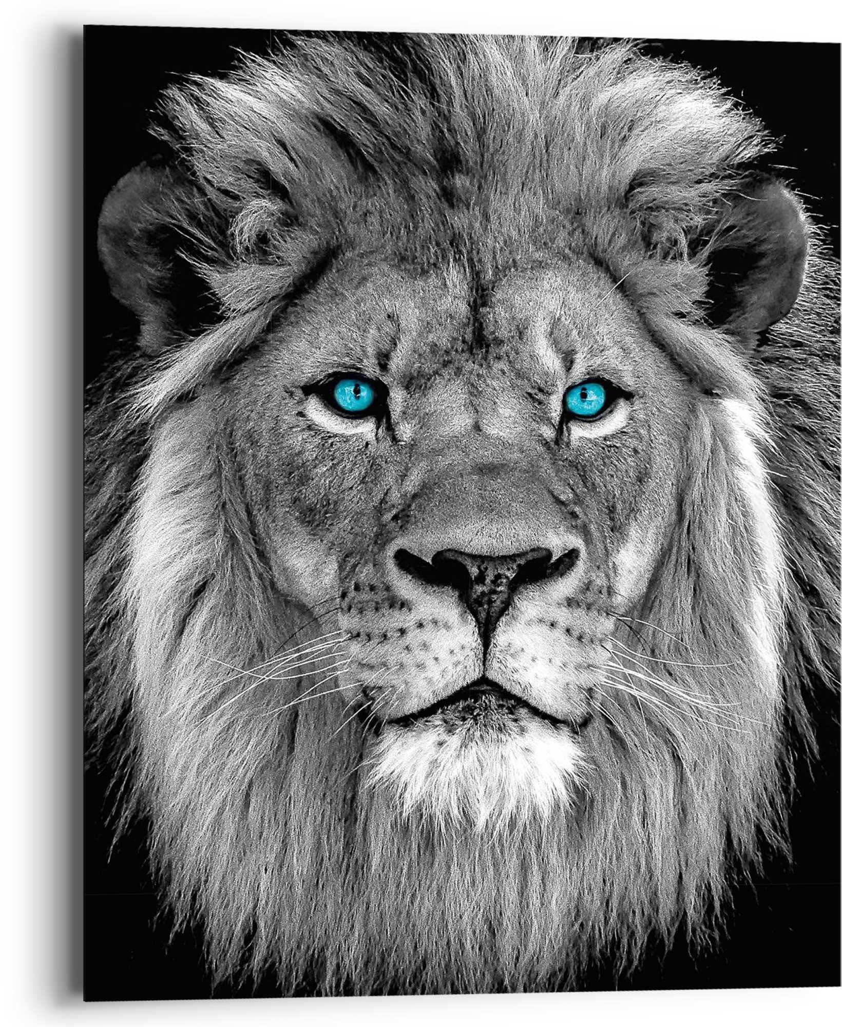 Reinders! Artprint Leeuw met blauwe ogen