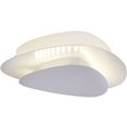 naeve led-plafondlamp liso ook als wandlamp te gebruiken (1 stuk) wit