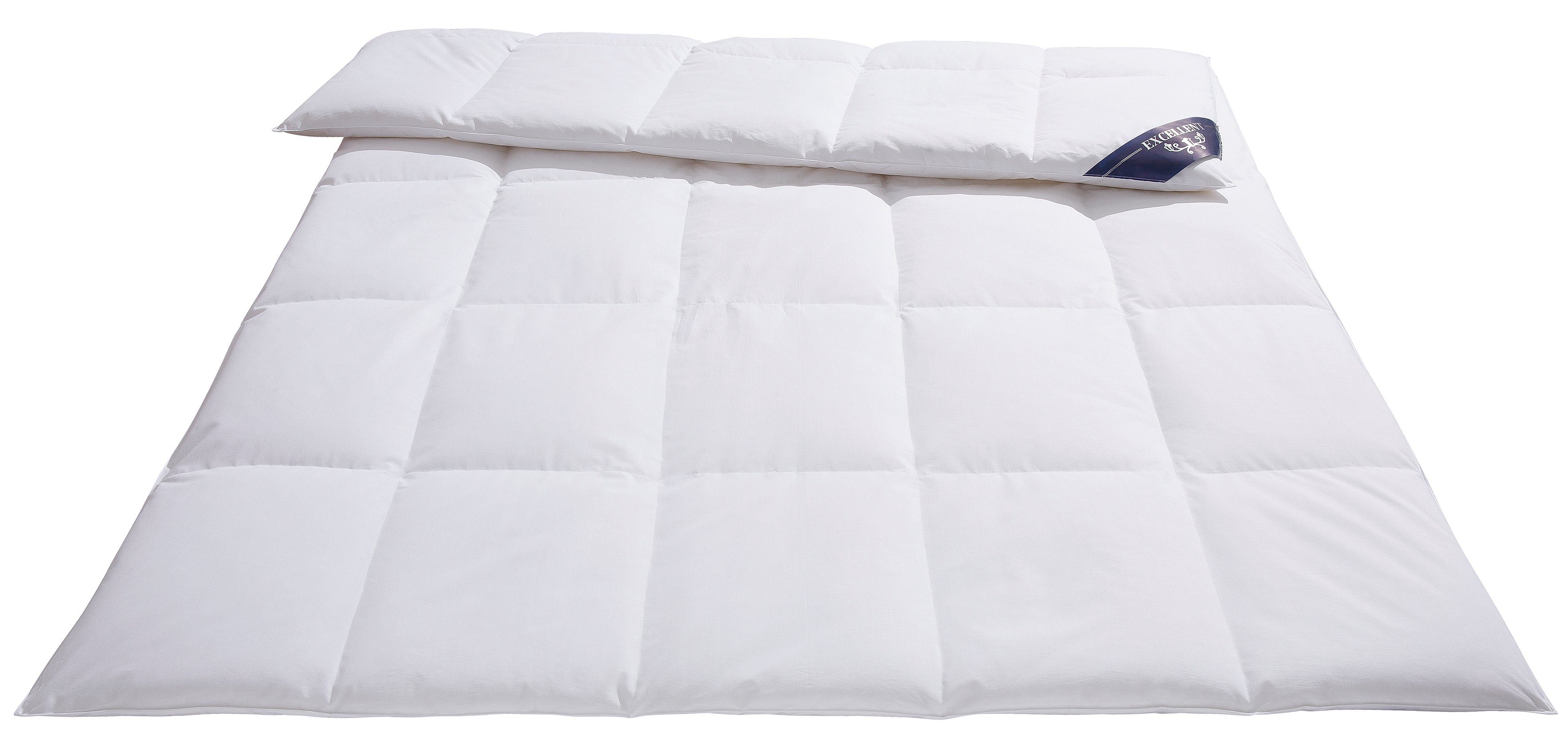 Excellent Donzen dekbed Wenen, dekbedden voor zomer en winter, dekbed 135x200 cm, made in Germany, geschikt voor allergieën (huisstof) Warm