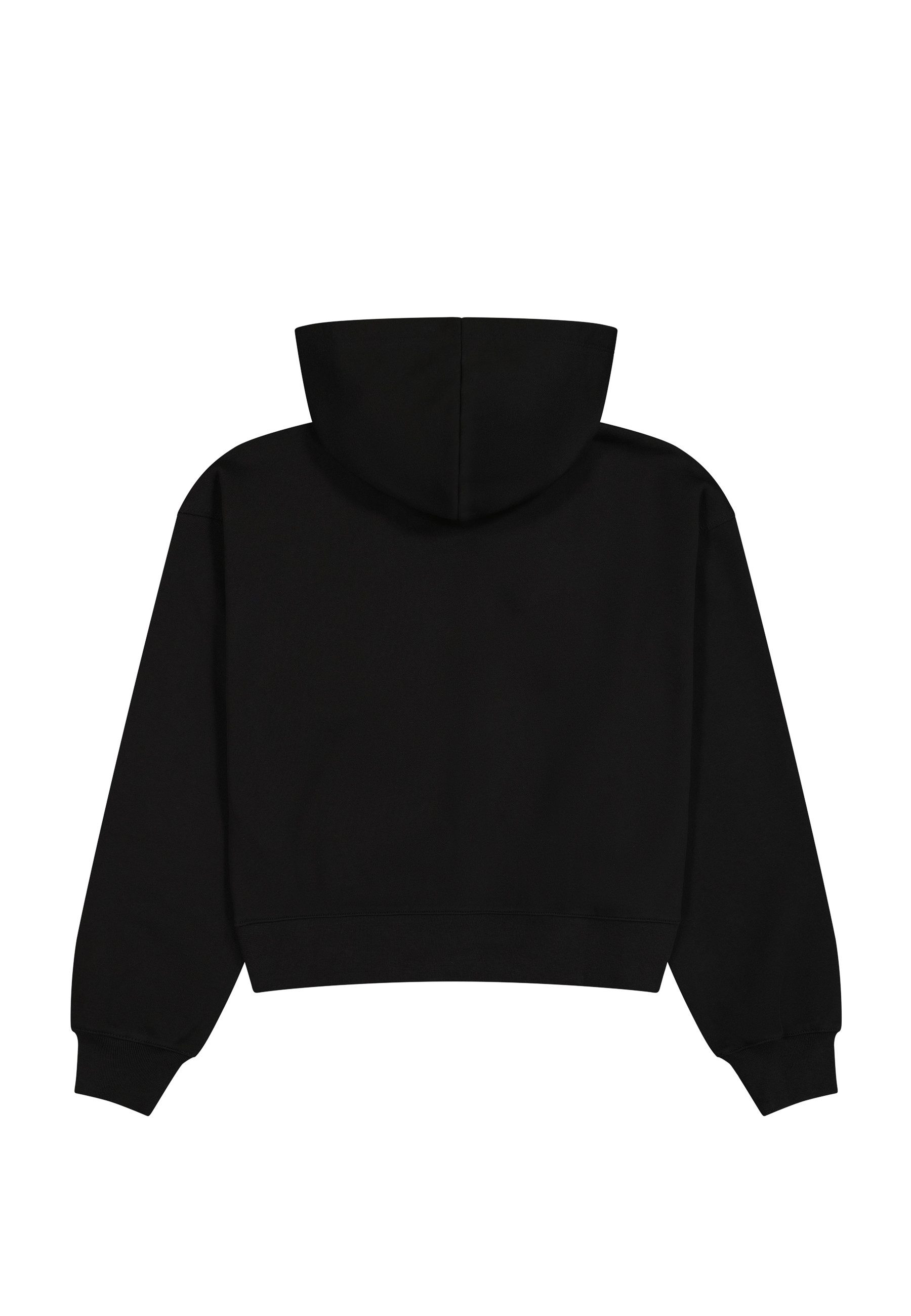 Champion Hoodie HOODED sweatshirt