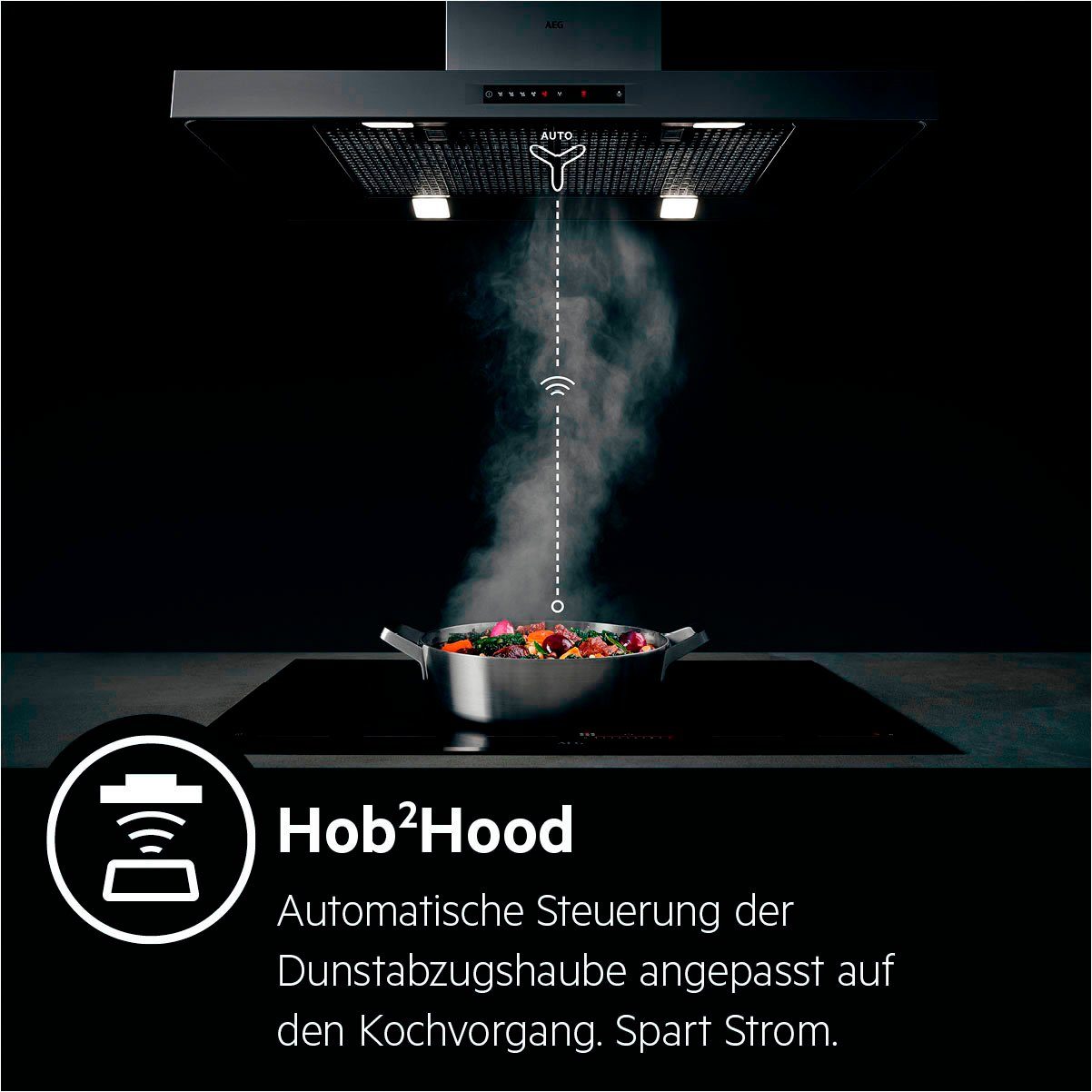 AEG Wandkap DVE5961HB