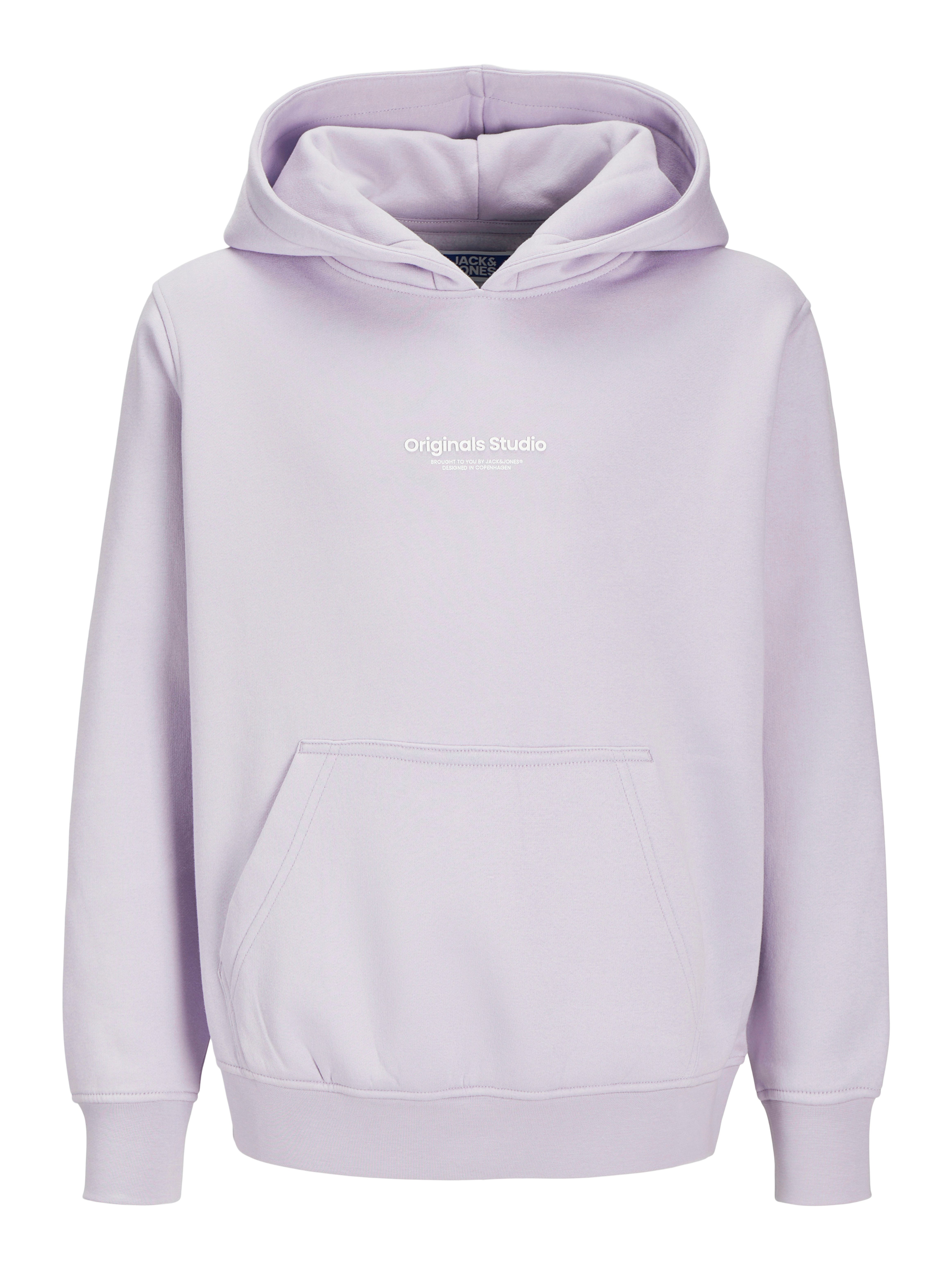 Jack & Jones Junior Hoodie JORVESTERBRO SWEAT HOOD NOOS JNR