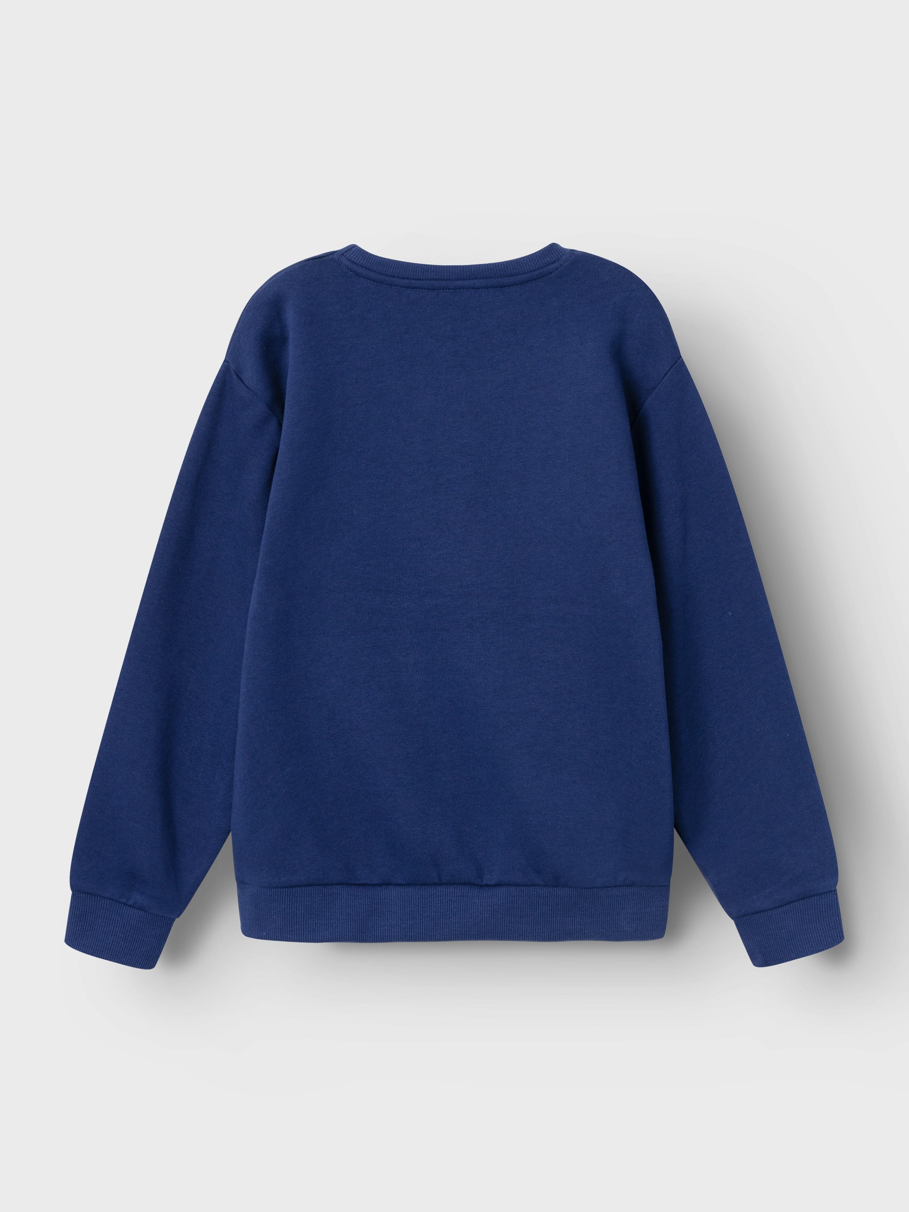 Name It Sweatshirt NKFOTUSSA LS NREG SWEAT BRU