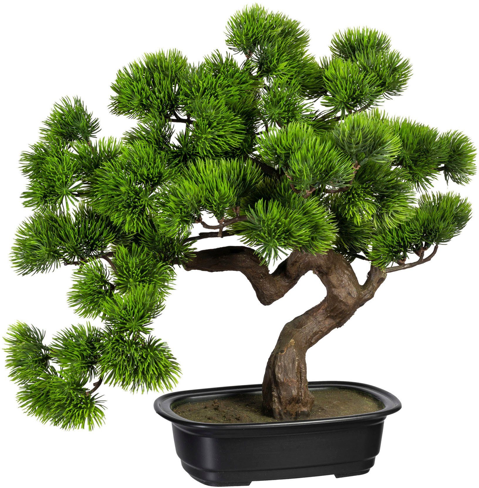 Creativ green Kunstbonsai Bonsai grenen (1 stuk)