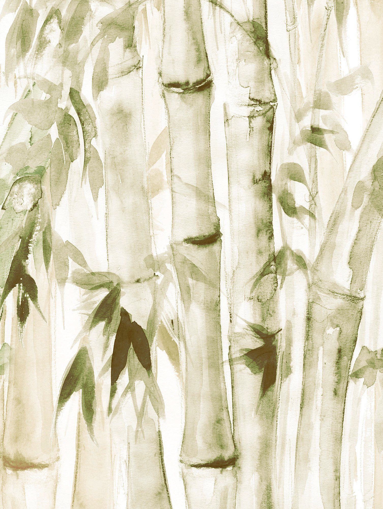 Komar Poster Wild Bamboo