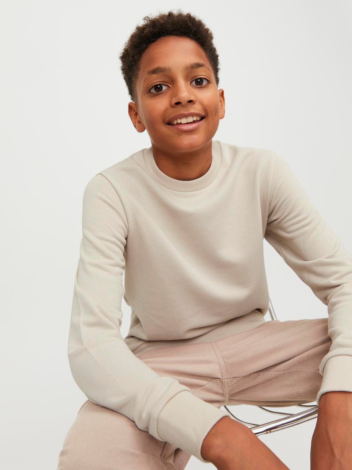Jack & Jones Junior Sweatshirt JJEBRADLEY SWEAT CREW NOOS JNR