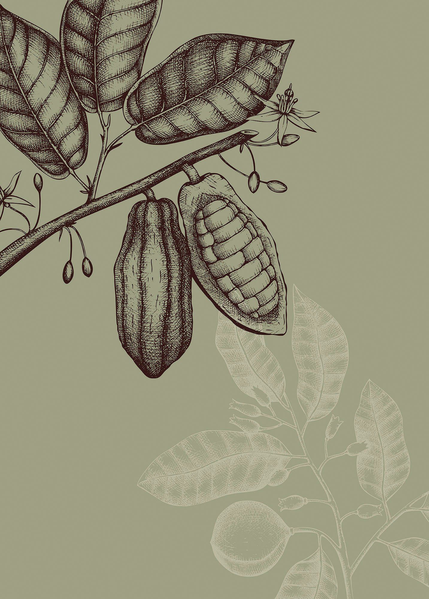 Komar Wanddecoratie Wild Cocoa Wanddecoratie - zonder lijst (1 stuk) foto schilderijen maat 50 cm x 70 cm