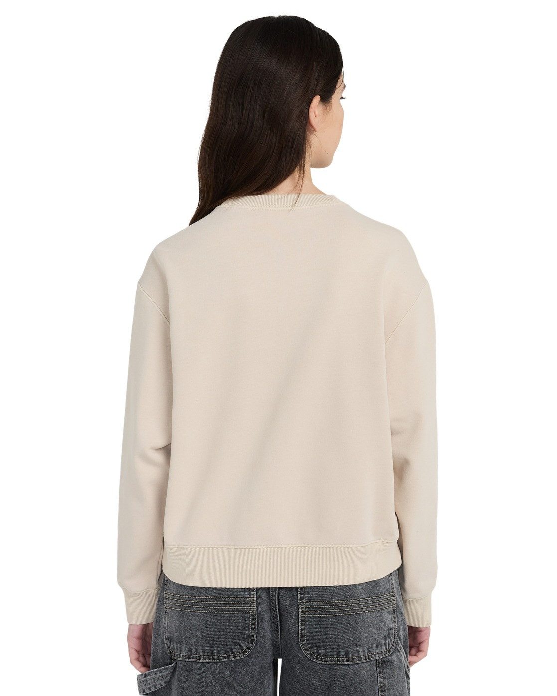 Element Sweatshirt Cornell 3.0