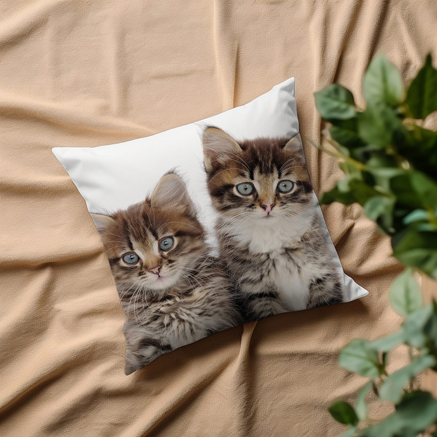 queence Sierkussen Patrick Kussenhoes, katten, dierenmotief, schattig, speels, huisdieren, decoratief (1 stuk)