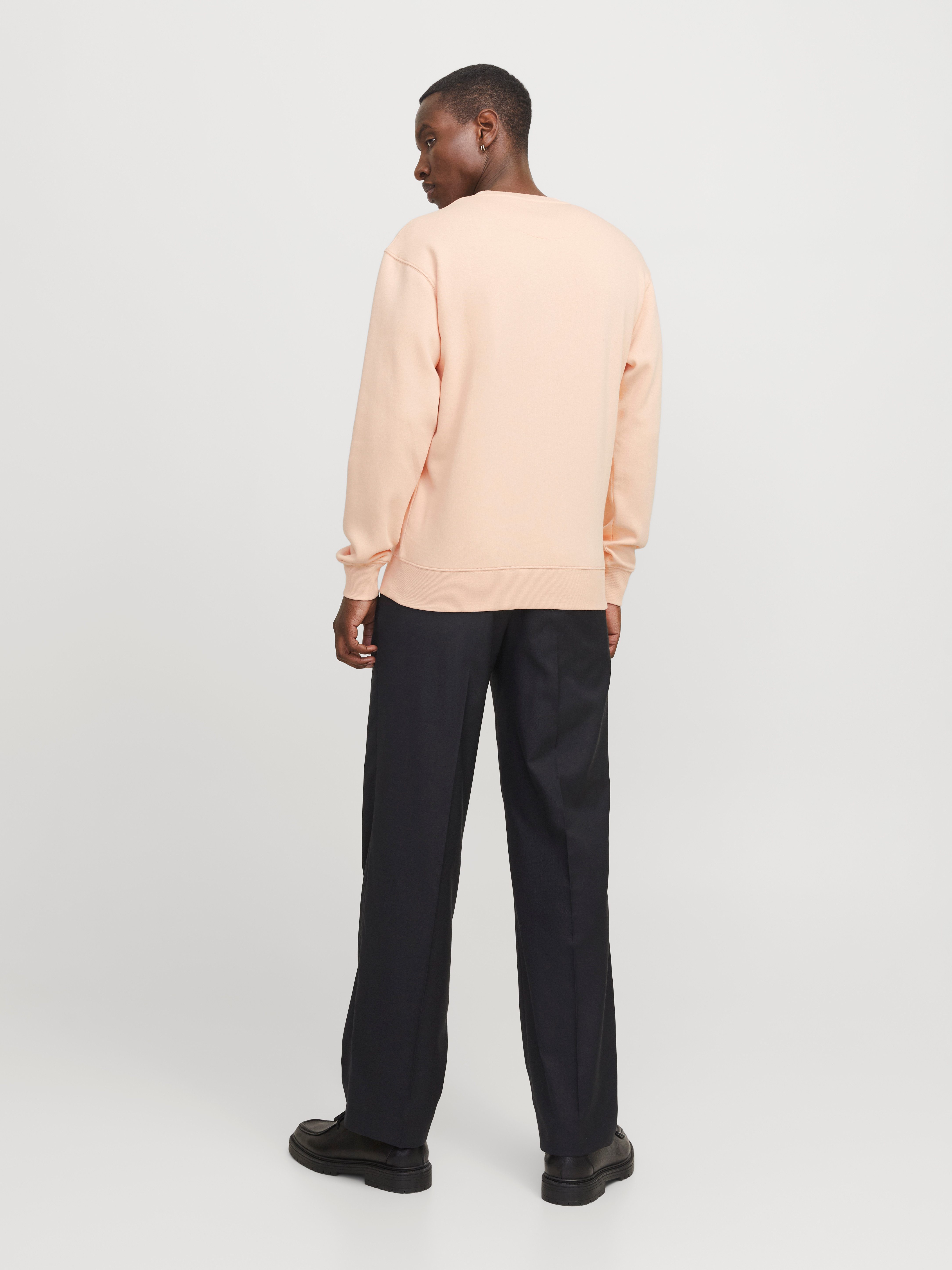 Jack & Jones Sweatshirt JJESTAR BASIC SWEAT CREW NECK NOOS