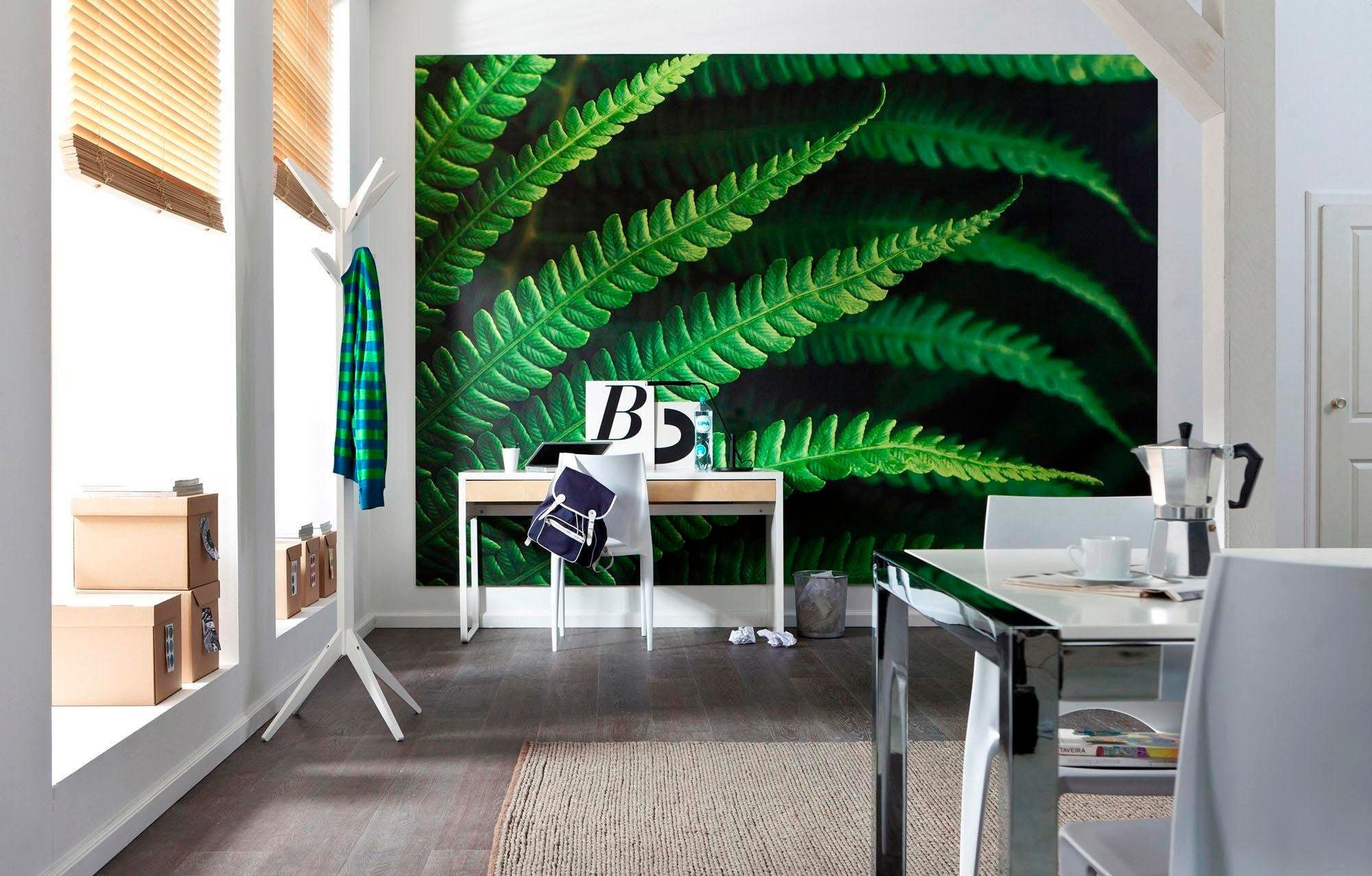 Komar Vliesbehang Digitale print vlies - Farn - Afmeting 350 x 250 cm