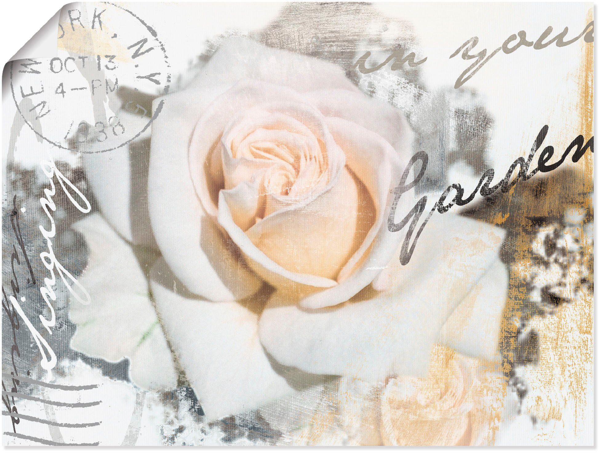 Artland artprint In Buchstaben Rose