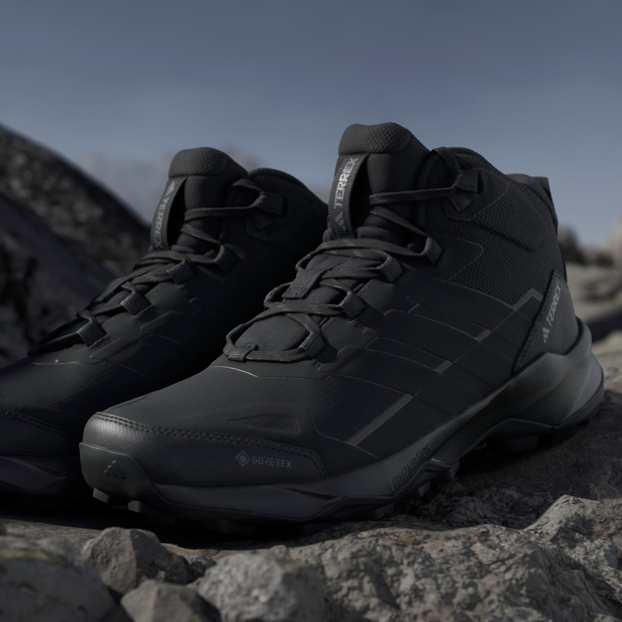 adidas TERREX Wandelschoenen TERREX SKYCHASER AX5 MID GORE-TEX E.