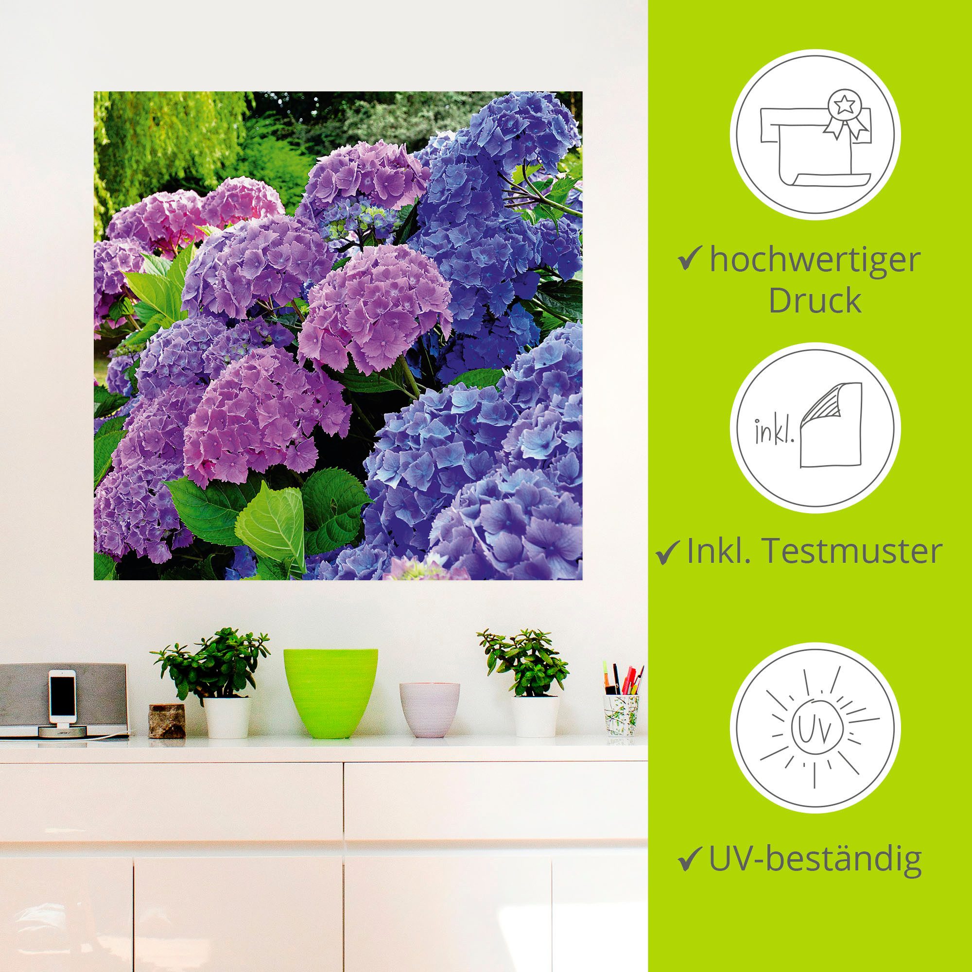 Artland Artprint Hortensia's in de tuin als artprint van aluminium, artprint voor buiten, artprint op linnen, poster, muursticker