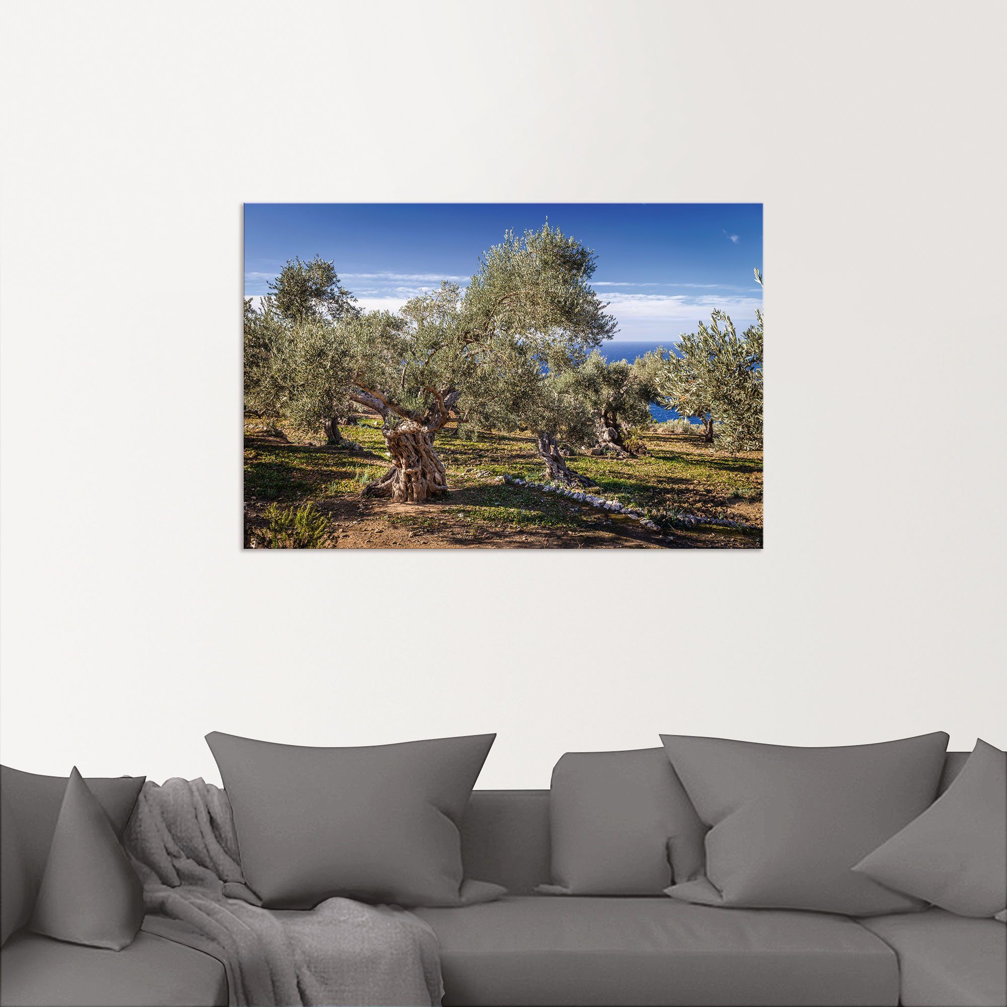 Artland Artprint Olijfgaard in de Serra de Tramuntana als artprint van aluminium, artprint voor buiten, artprint op linnen, poster in verschillende maten. maten