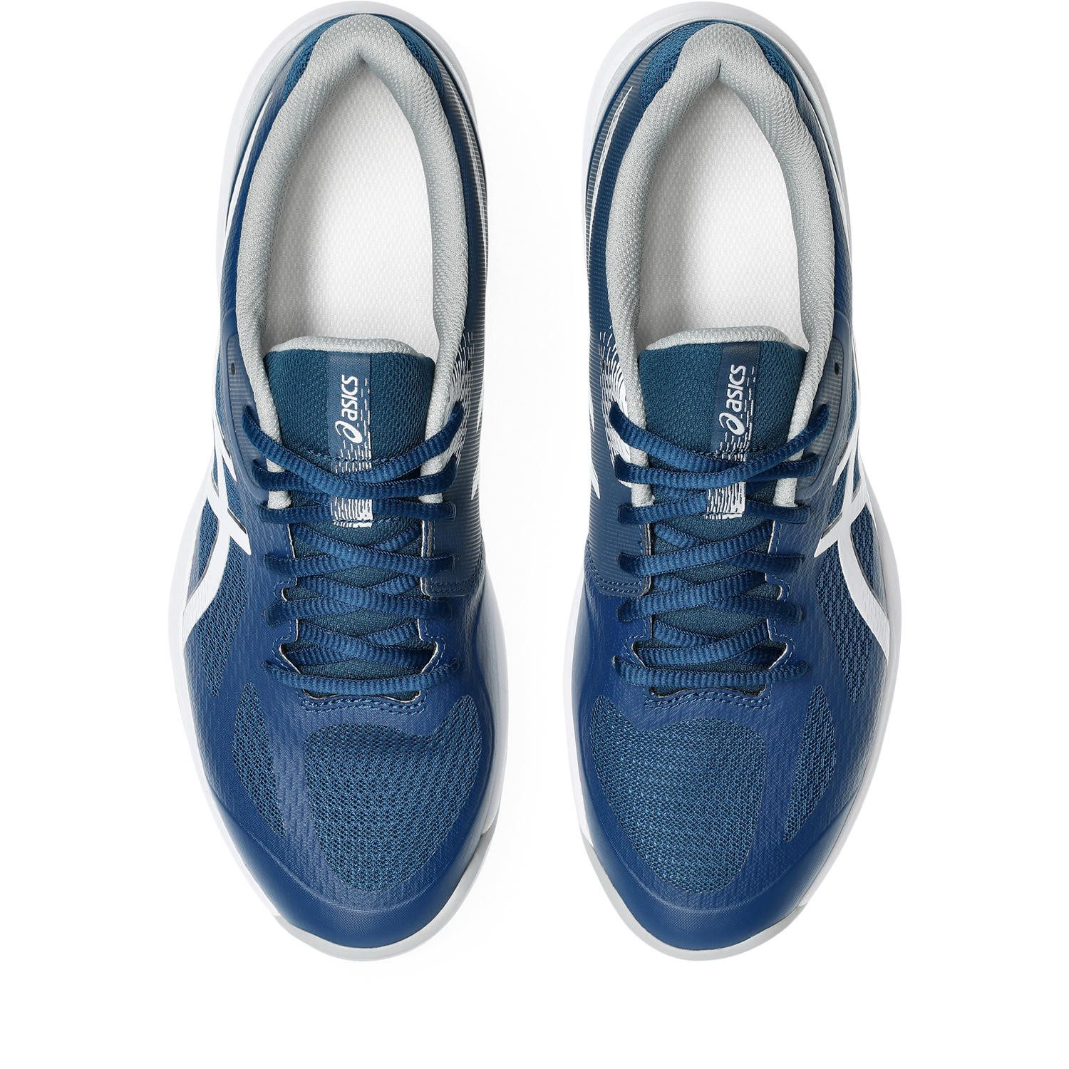 Asics Zaalschoenen COURT HUNTER FF