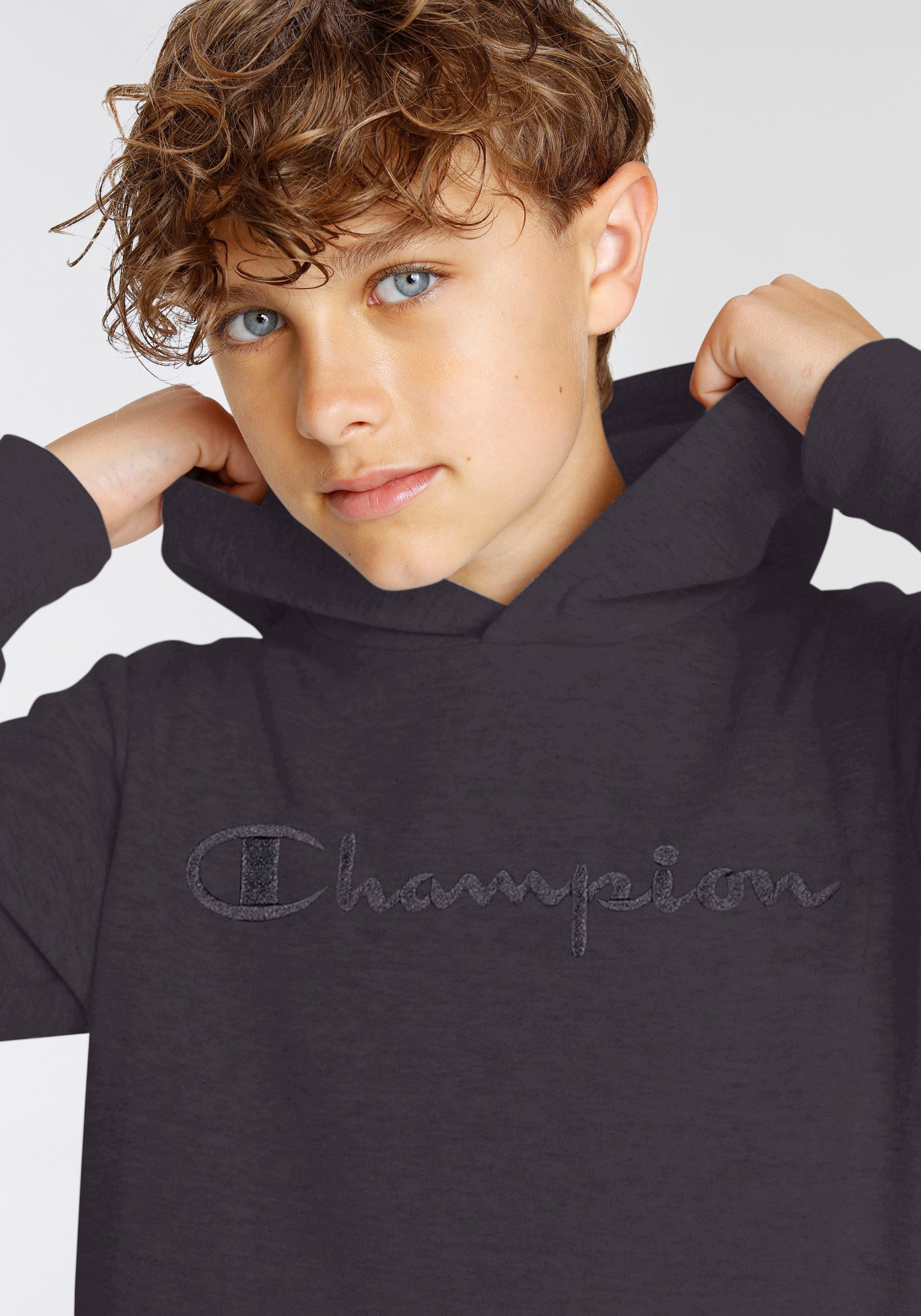 Champion Hoodie ICONS Hoodie Large Tonal Logo