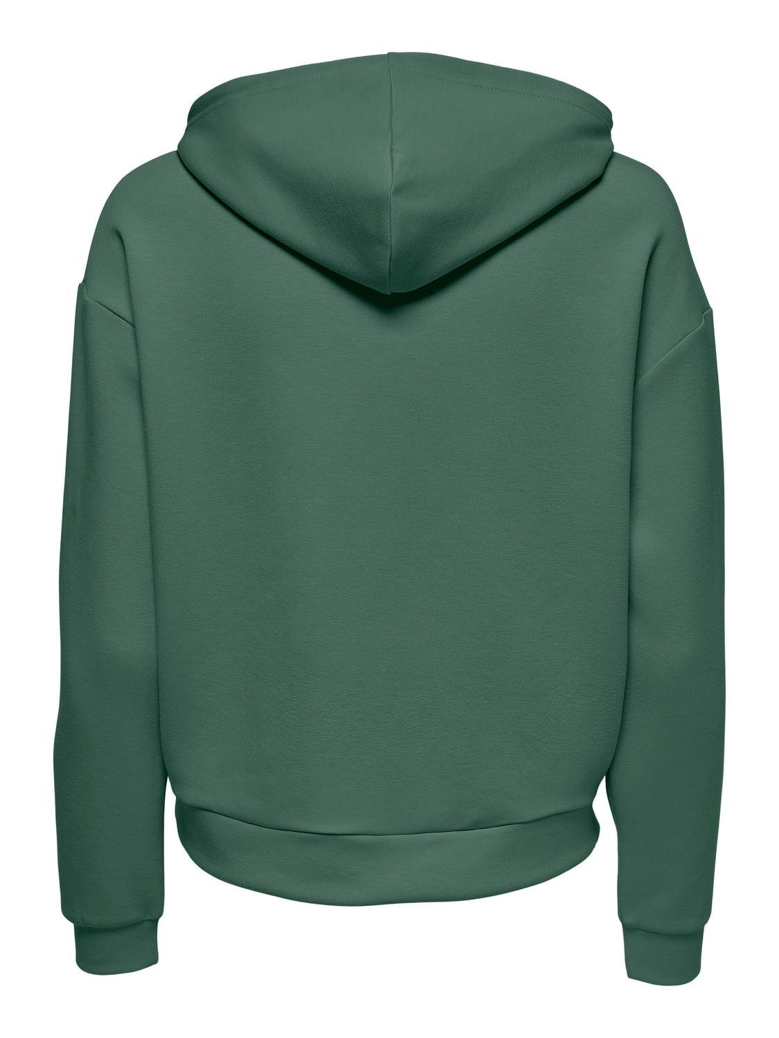 Only Play Hoodie ONPLOUNGE LS HOOD SWEAT - NOOS