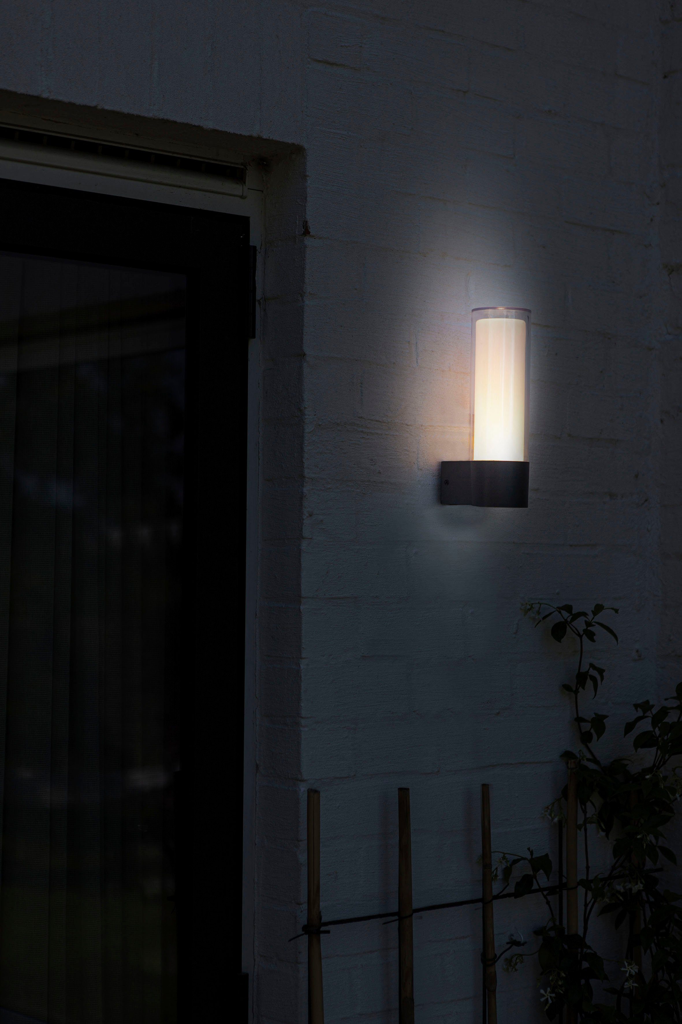 LUTEC Slimme ledlamp DROPA Smart-home (1 stuk)
