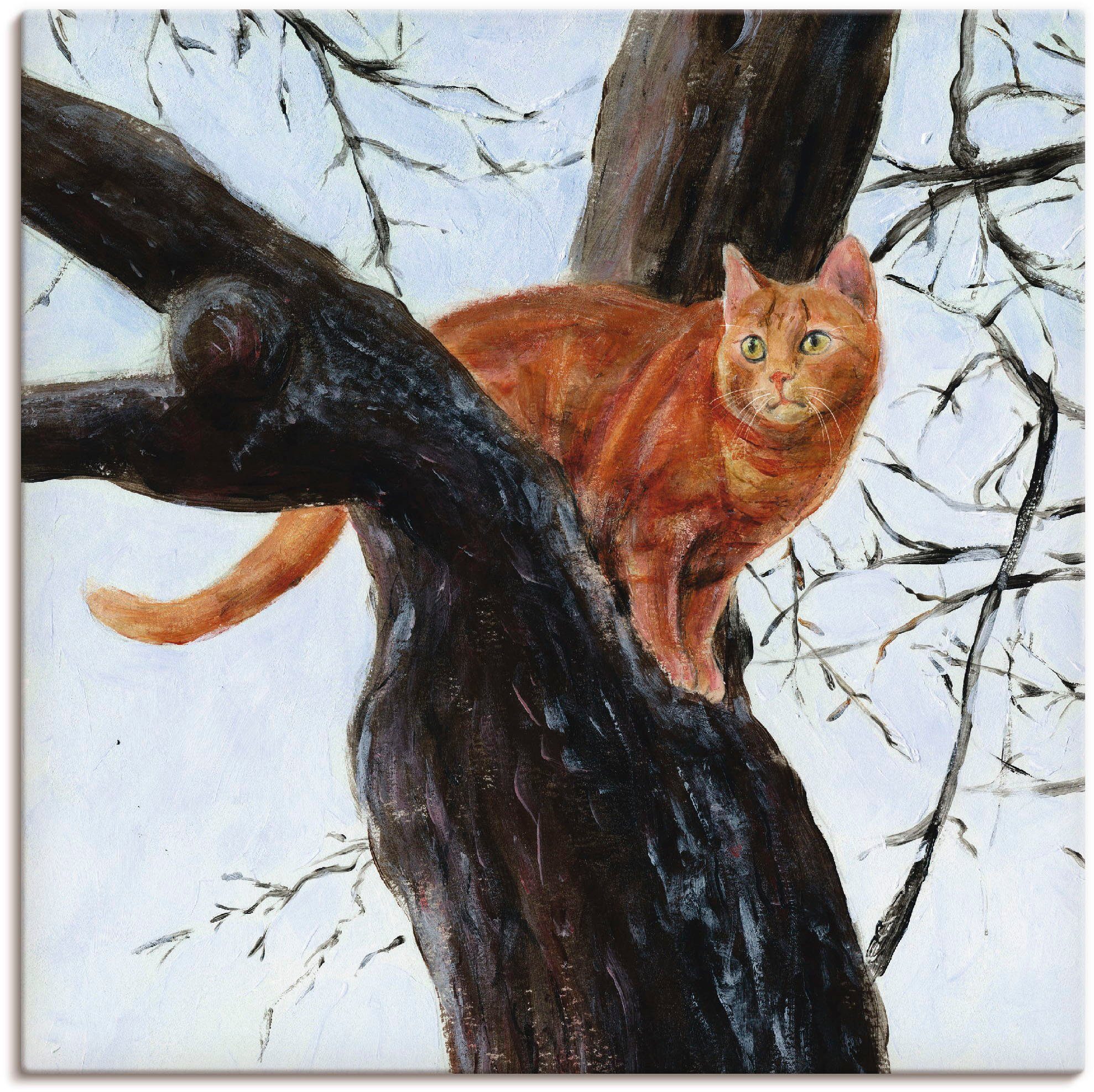Artland Artprint Kat in boom als artprint op linnen, poster in verschillende formaten maten foto schilderijen maat 40 cm x 40 cm bruin