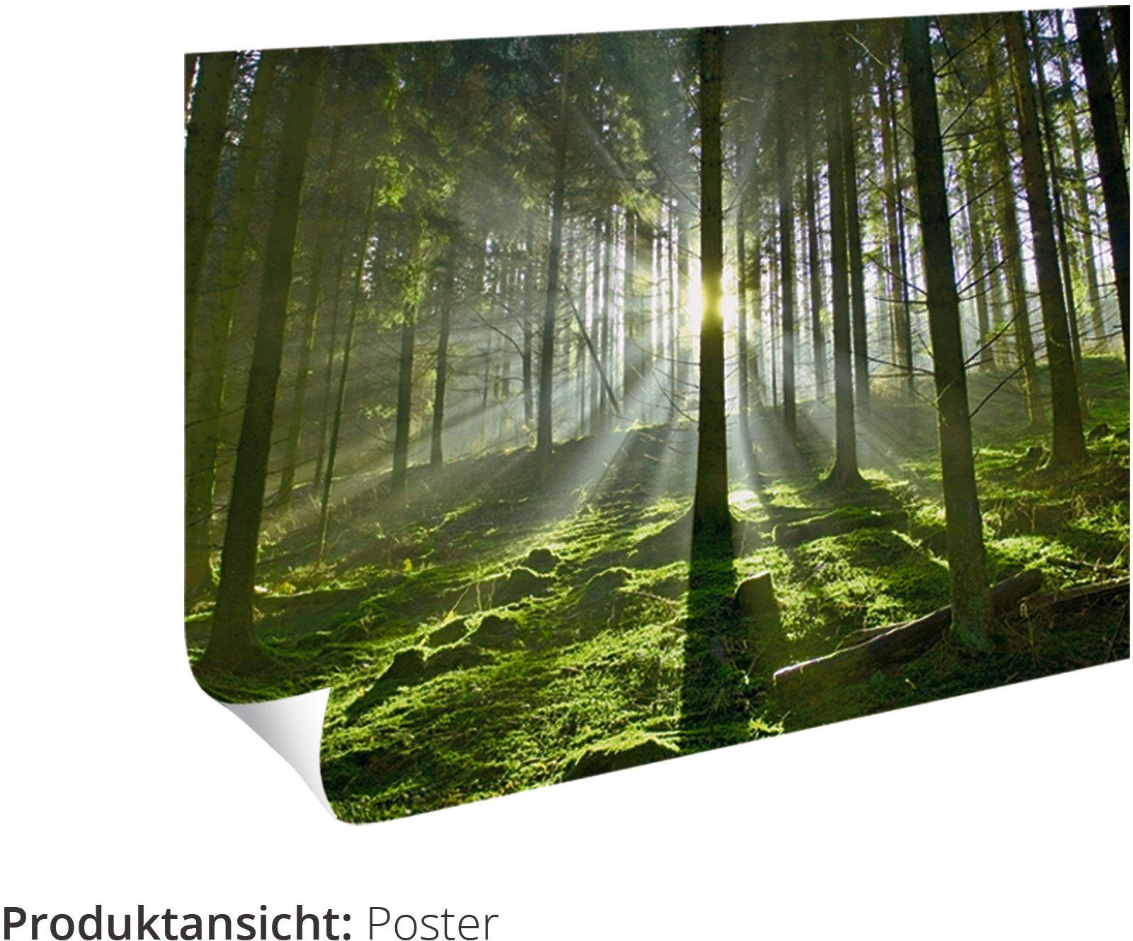 Artland Artprint Segelschiffe auf Warnow Rostock in vele afmetingen & productsoorten - artprint van aluminium / artprint voor buiten, artprint op linnen, poster, muursticker / wand