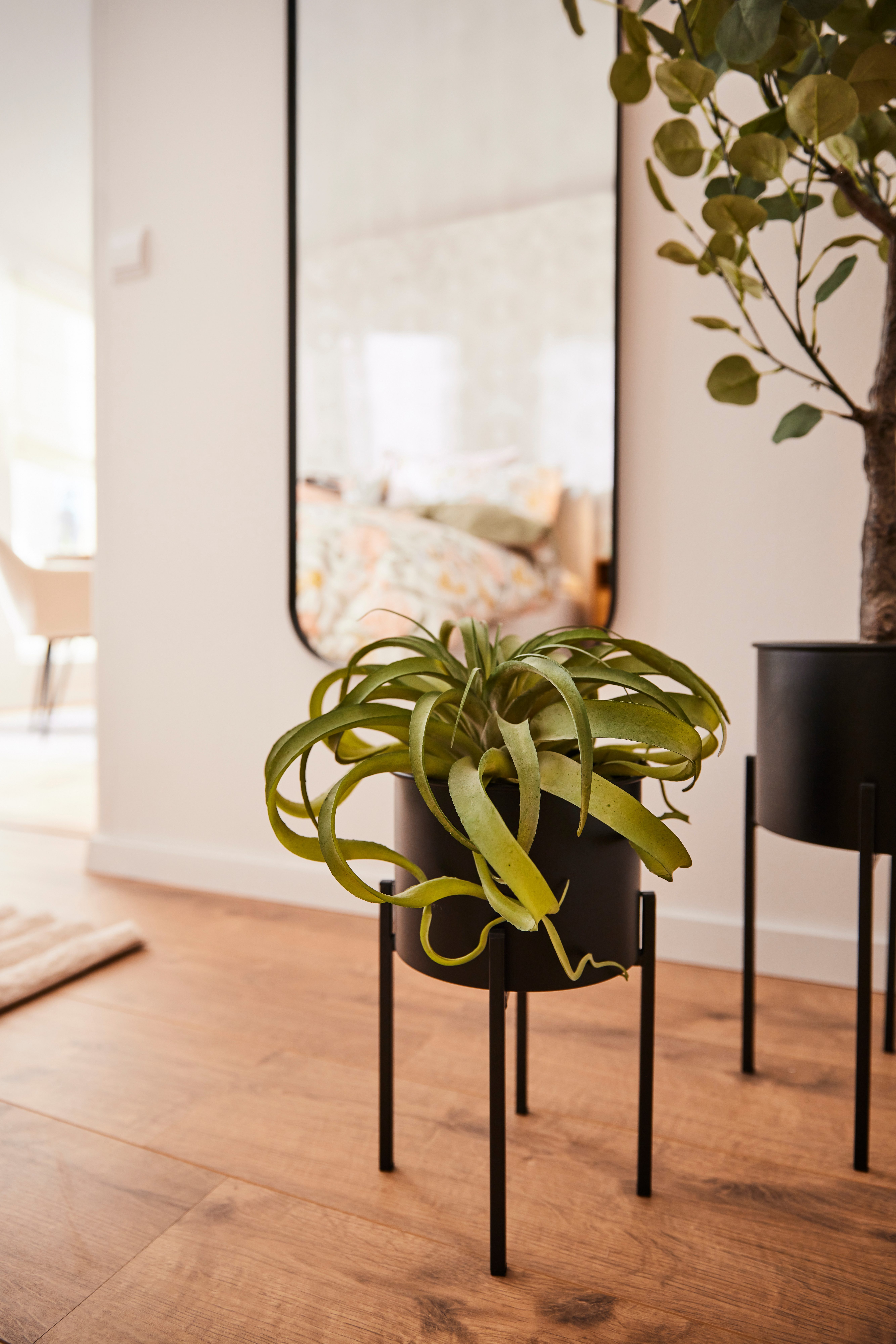 LeGer Home by Lena Gercke Sierpot DORETTE (set, 2 stuks)