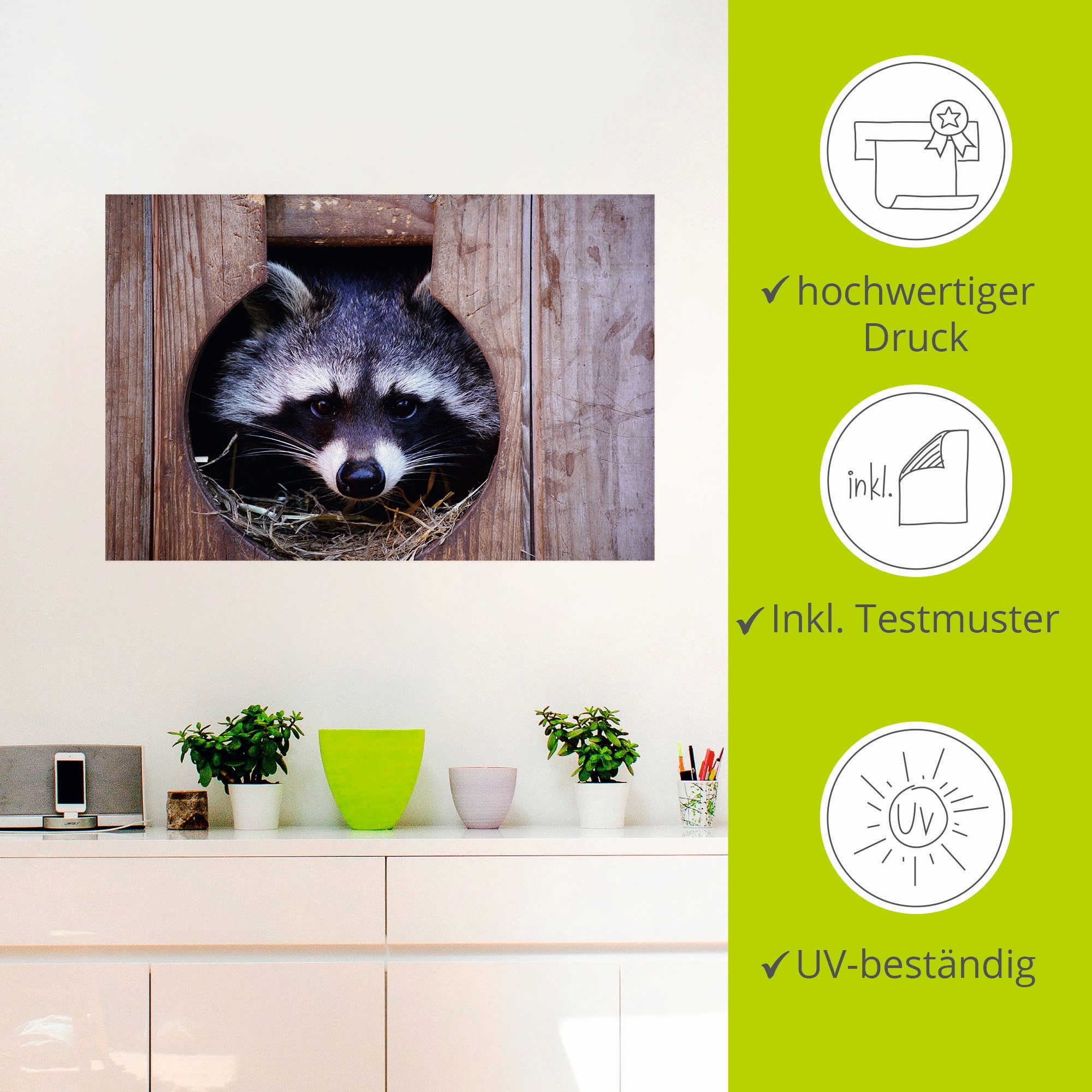 Artland Artprint Schattige kleine wasbeer als artprint op linnen, muursticker in verschillende maten