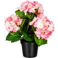 creativ green kunstplant hortensiastruik (1 stuk) roze