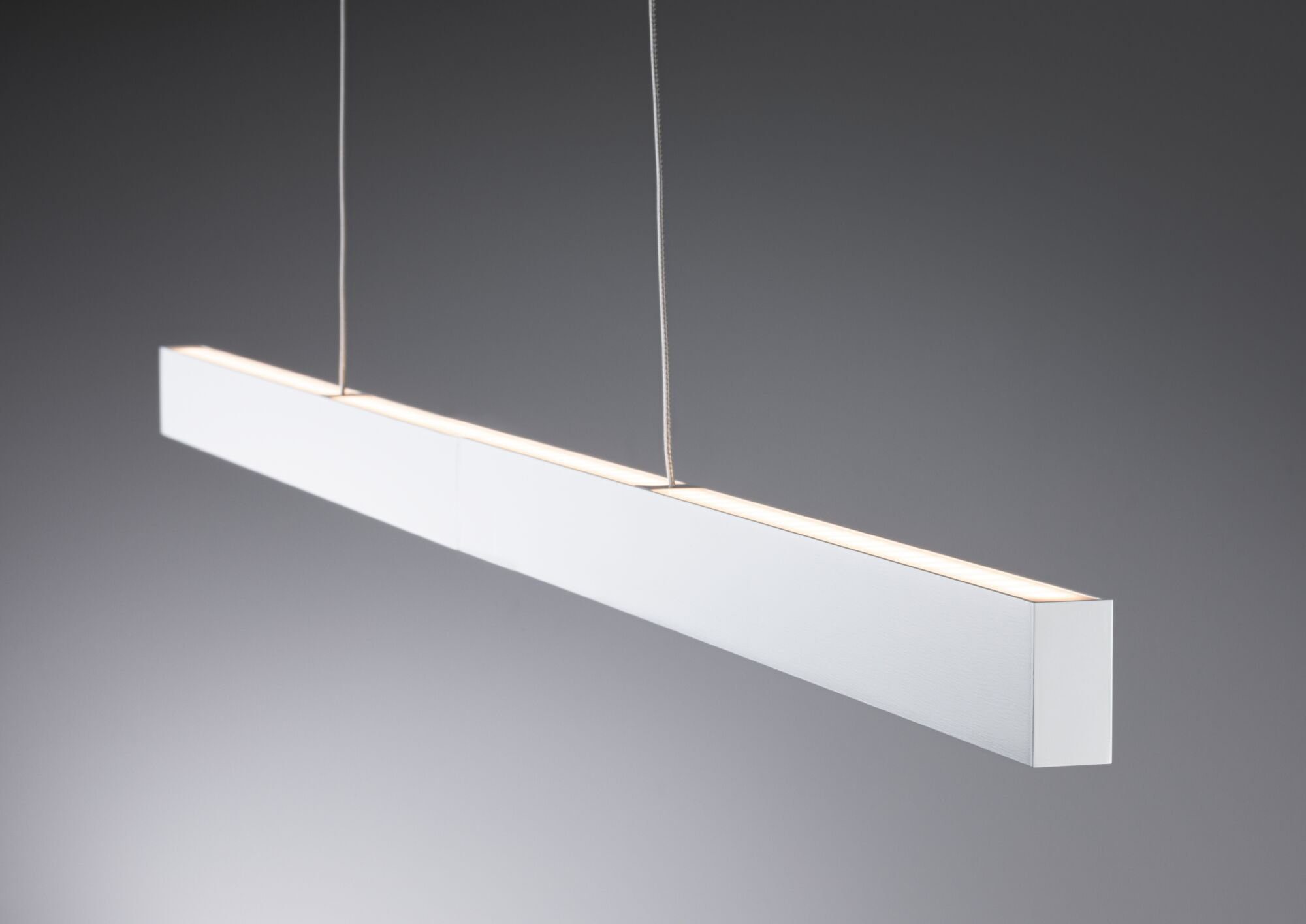 Paulmann Led-hanglamp Aptare LED-module, dimbaar, 230 V (1 stuk)
