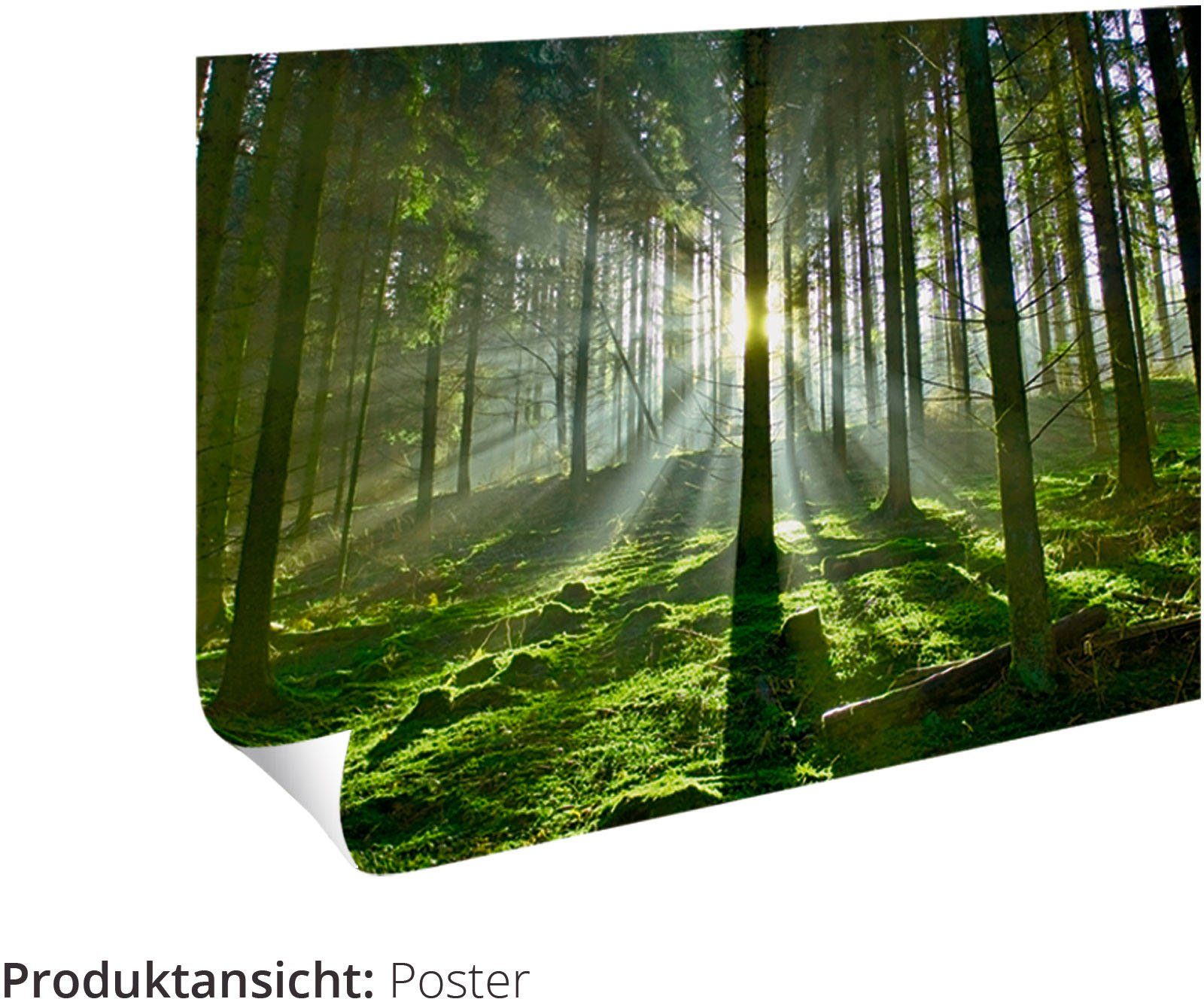 Artland Artprint Bloemmotief als artprint van aluminium, artprint voor buiten, poster in diverse formaten