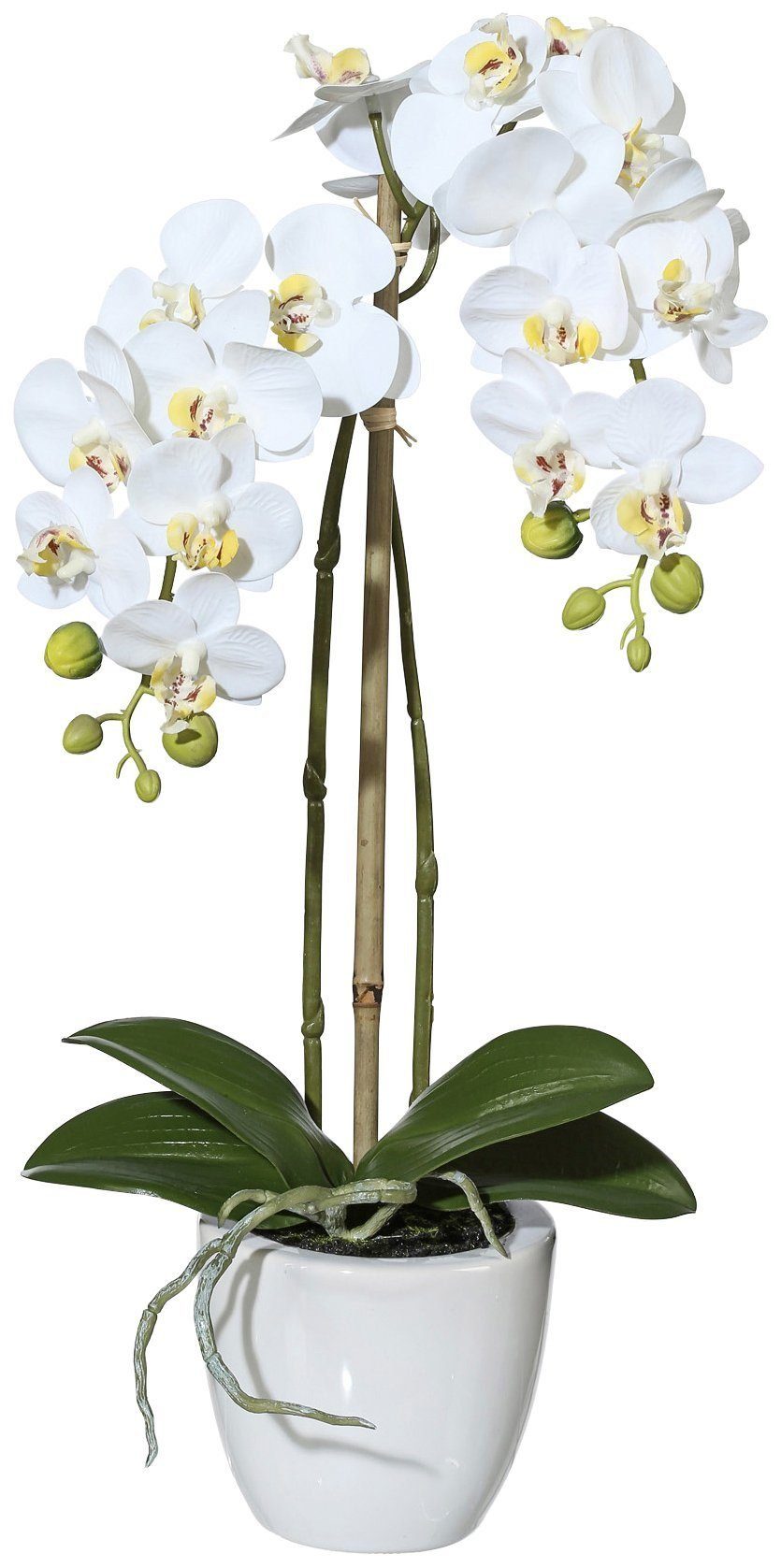 Creativ green Kunstplant Vlinderorchidee in een keramische pot (1 stuk)