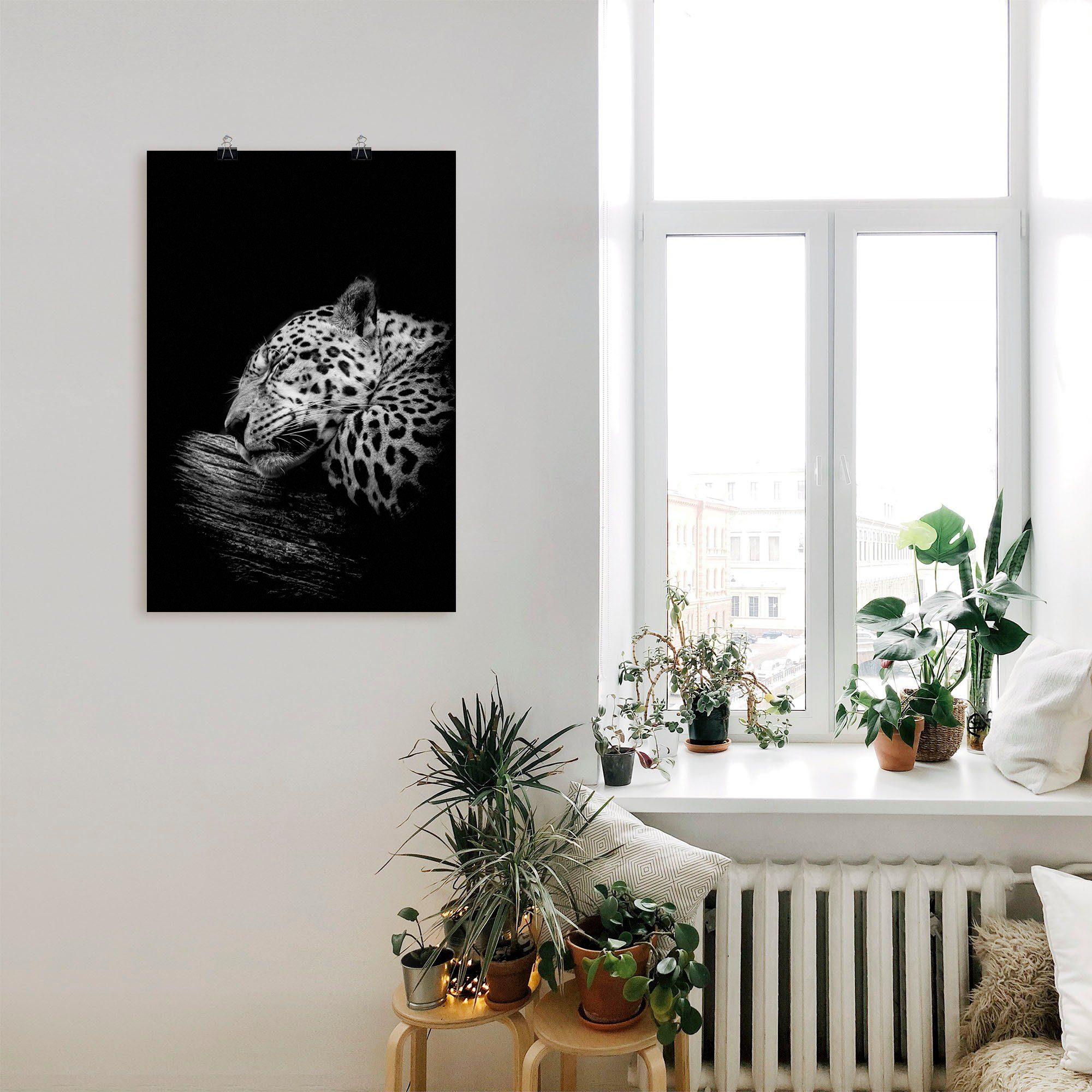 Artland Artprint De slapende jaguar als artprint van aluminium, artprint voor buiten, artprint op linnen, poster in verschillende maten. maten