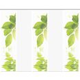 vision s paneelgordijn lefano set van 5 bamboe-look, digitaal bedrukt (5 stuks) groen