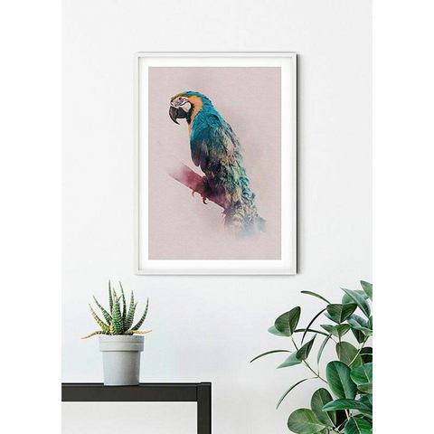 Komar XXL poster Animals Paradise Parrot