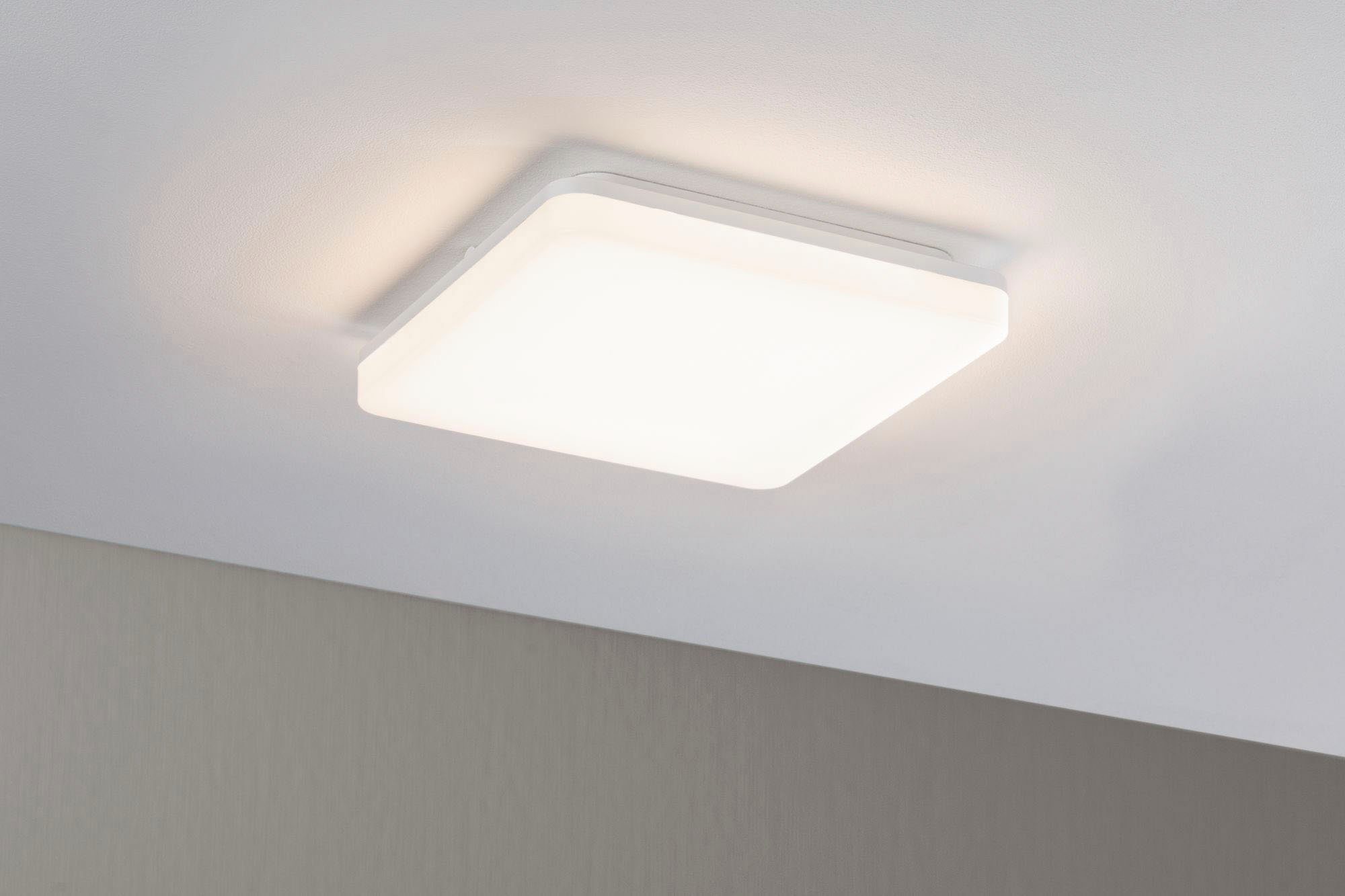 Paulmann Led-plafondlamp Cela (1 stuk)