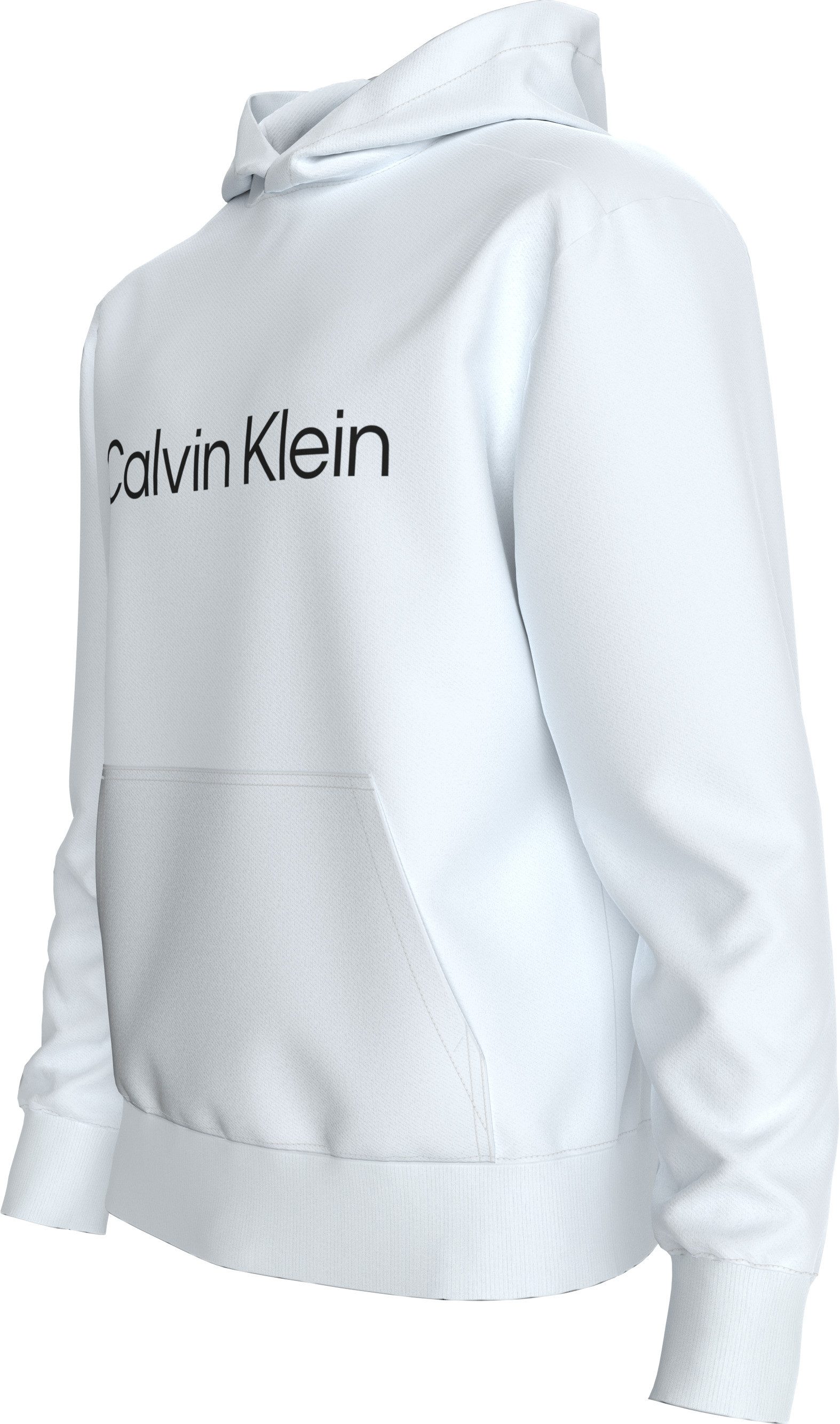 Calvin Klein Hoodie LS EU STANDARD LOGO 350TERRY PO