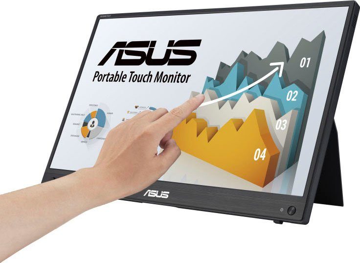 Asus Ledscherm ASUS Monitor, 39,6 cm / 15,6", Full HD