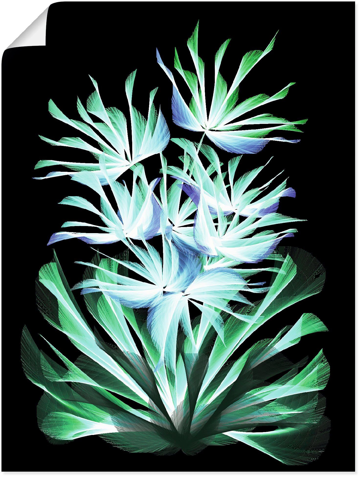 Artland Artprint Leuchtende Nachtblumen in vele afmetingen & productsoorten - artprint van aluminium / artprint voor buiten, artprint op linnen, poster, muursticker / wandfolie ook