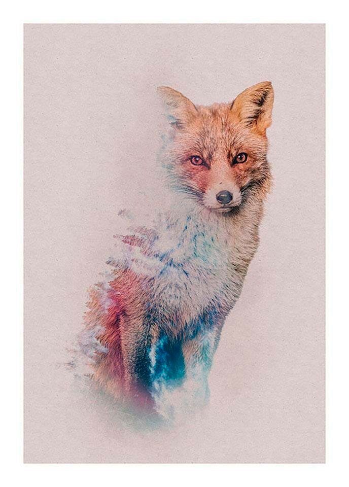 Komar Poster Animals forest Fox Hoogte: 40 cm