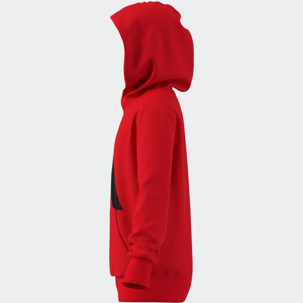 adidas Sportswear Hoodie J BL FT HD 280