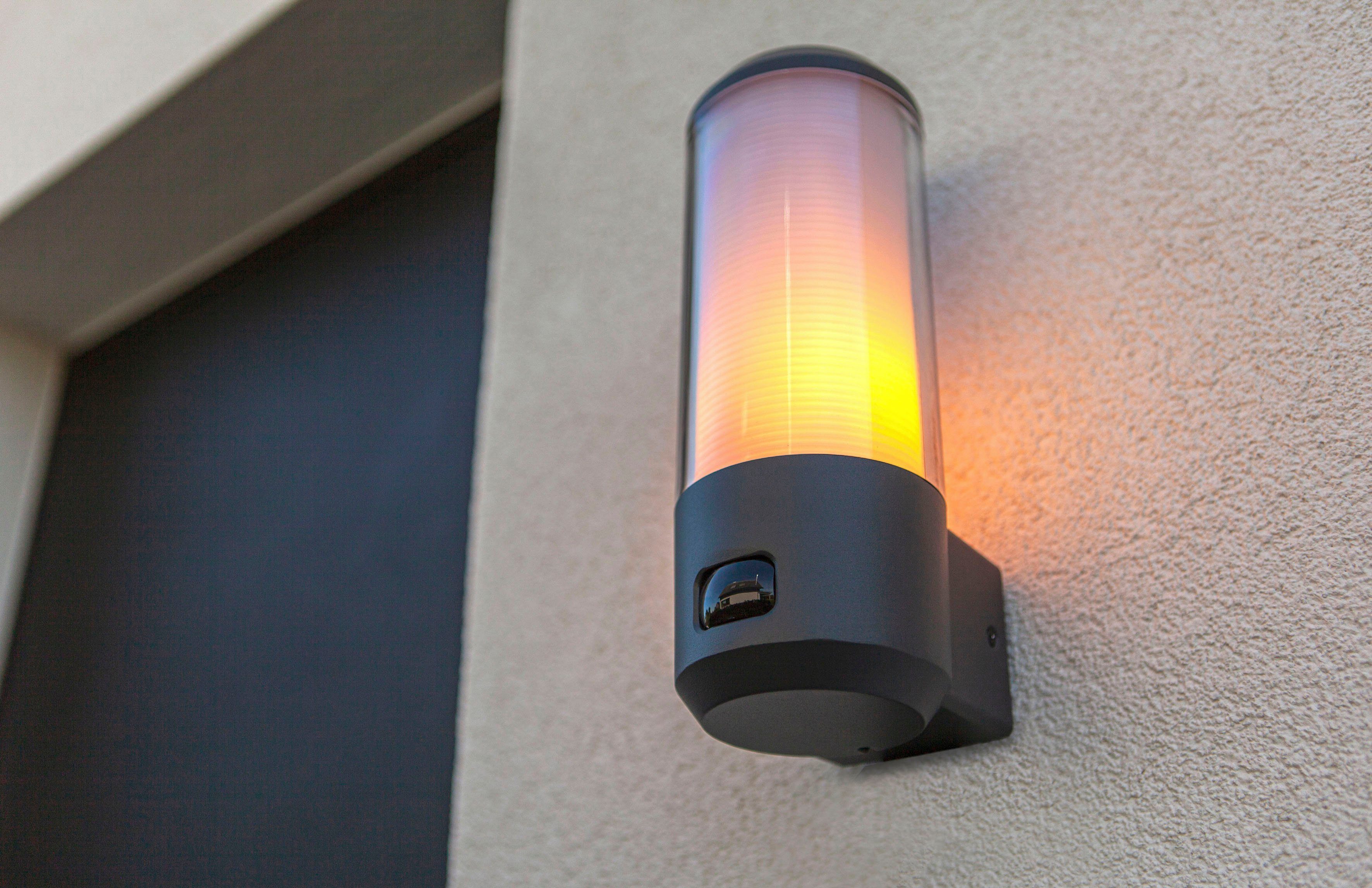 LUTEC Wandlamp voor buiten HEROS (1 stuk)
